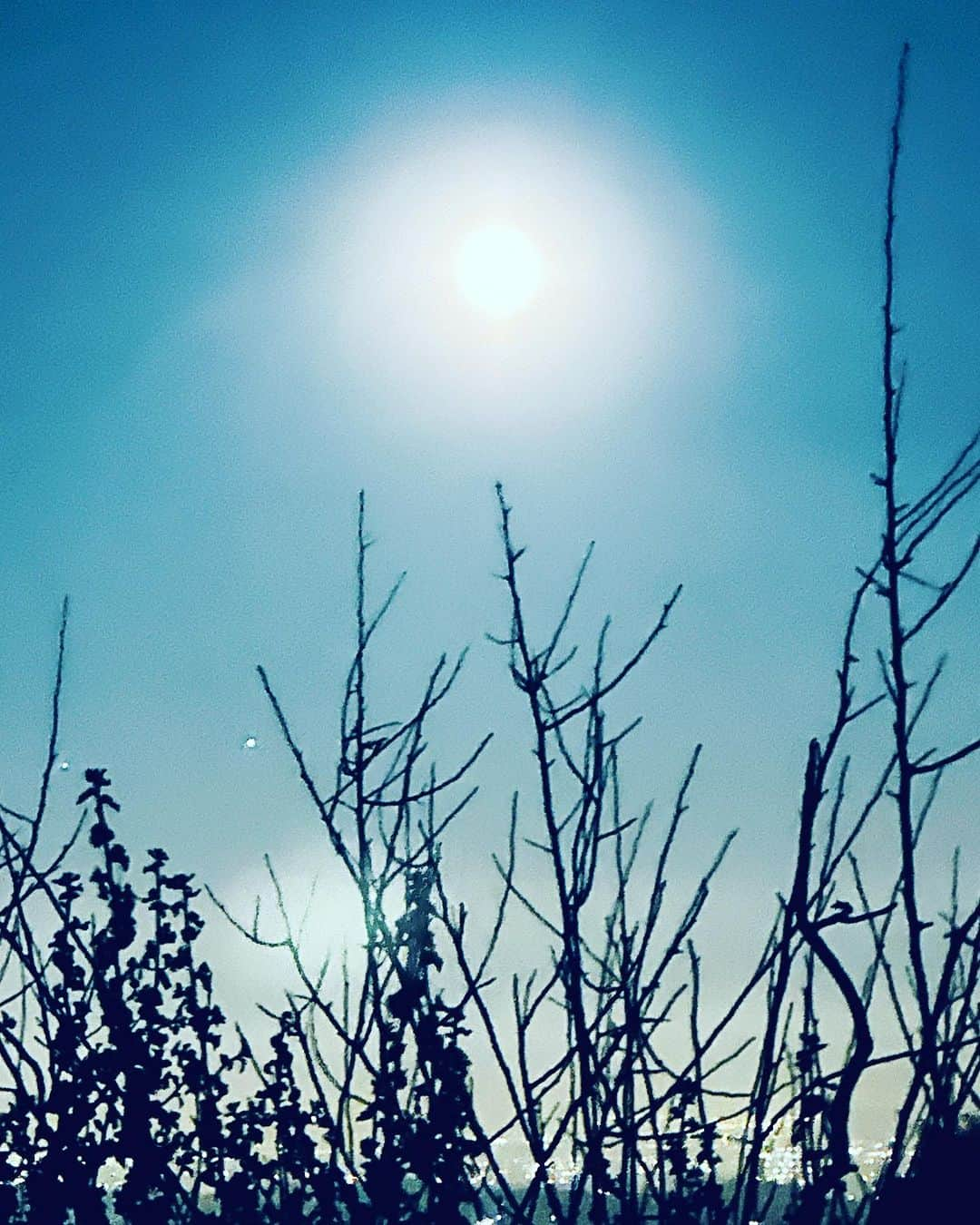 Kara Yoshimoto Buaさんのインスタグラム写真 - (Kara Yoshimoto BuaInstagram)「The Super Blue Moon, the most luminous celestial event of the year, emerges a surge of energy poised to cleanse the slate. Embracing the release of what no longer serves creates space for beauty to flourish. In the unfolding weeks and months, expect profound insights and personal growth. Patience shapes decisions positively. The dance of seven retrograde planets might rekindle the past, impacting communication.   Cultivate practices to clear, align, and stabilize your Bio-Magnetic Field, absorb more Light Photons and awaken your intuition to empower the manifestation of your not-so-hidden-anymore supernatural abilities. The full moon in Pisces represents deep healing and transformation, aligning with our evolving quantum reality. Releasing the past sets the stage for positive change, an Alchemical Beauty born from the convergence of the supermoon's energy and the intricate retrograde dance is a rare opportunity to finally make our dreams a reality.  In the presence of a full moon, one might consider the subtle influx of photonic particles gracing us. Exercise, it is said, invites energy into our being, flowing through our meridians. During a Super Blue Full Moon, a chance emerges to nurture and expand our Aura, our Bio-magnetic Field blooms.  #fullmoonhiking #lightphotons #alchemicalbeautybykara」8月31日 12時23分 - karayoshimotobua