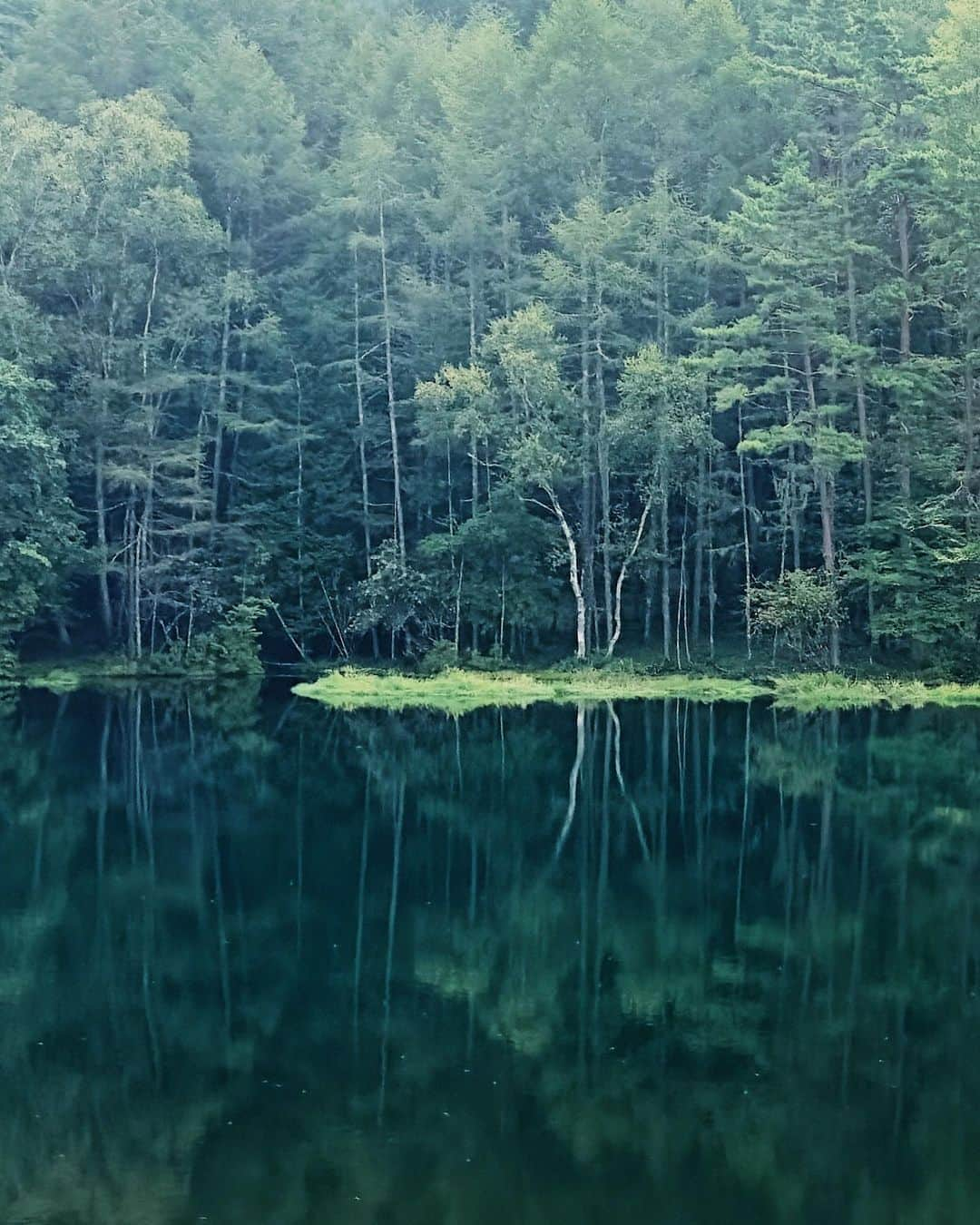 Naokoのインスタグラム：「☘️✨ * 久しぶりに訪れた御射鹿池。 すっかり観光地化がされていてびっくり！！ 遠くから眺めることしかできなかったけど 神聖な姿はそのままで。  トンボがたくさん飛んでいて綺麗だったな〜 この夏最後の旅行は蓼科高原へ。  #iphone14promax  #御射鹿池」