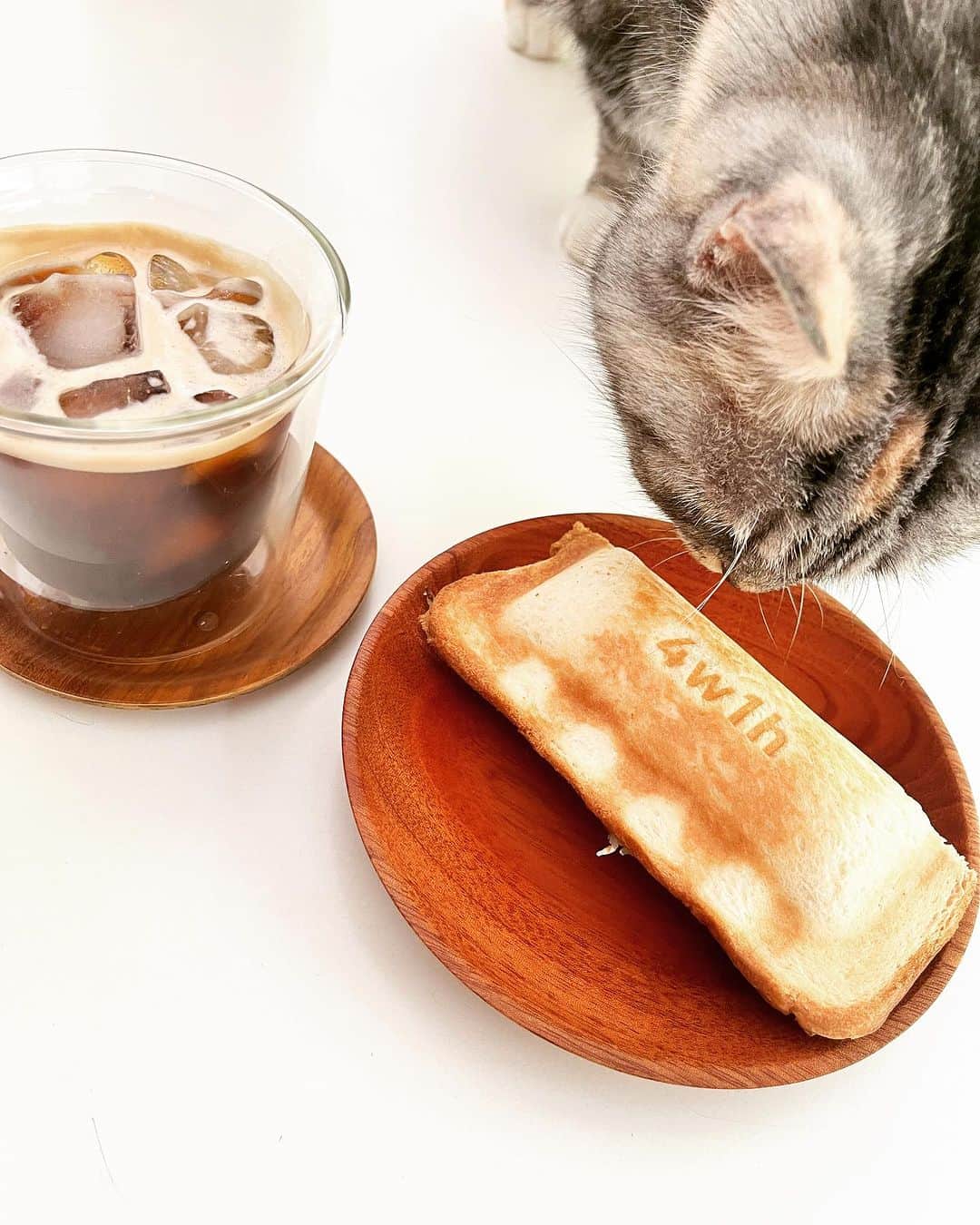 浅田信一のインスタグラム：「ちょそれオレの！」