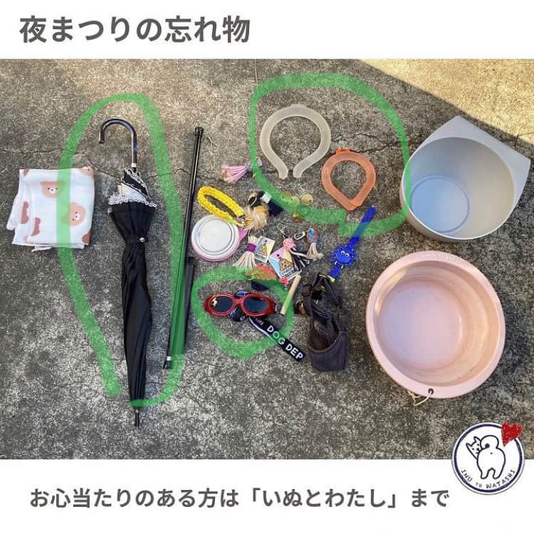 甲斐麻美のインスタグラム