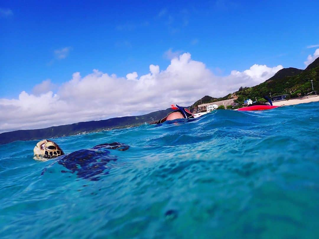 原田曜平さんのインスタグラム写真 - (原田曜平Instagram)「奄美で海亀と🐢この写真、完全にインストラクターの方のイタズラ心を感じるのはなあぜなあぜ？」8月31日 9時39分 - yohei.harada_official