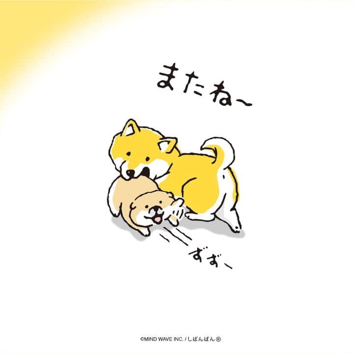 オオゴシヤステルのインスタグラム：「#今日のしばんばん   8月や夏休み、その他諸々に 別れを告げる むちころ  (ᐡ・ᴥ・ᐡ)ฅ ))  #しばんばん #shibanban #むちころばんばん #muchicorobanban #微笑柴犬 #マインドウェイブ #mindwave #オオゴシヤステル #柴犬 #しばいぬ #sibainu #イラスト」