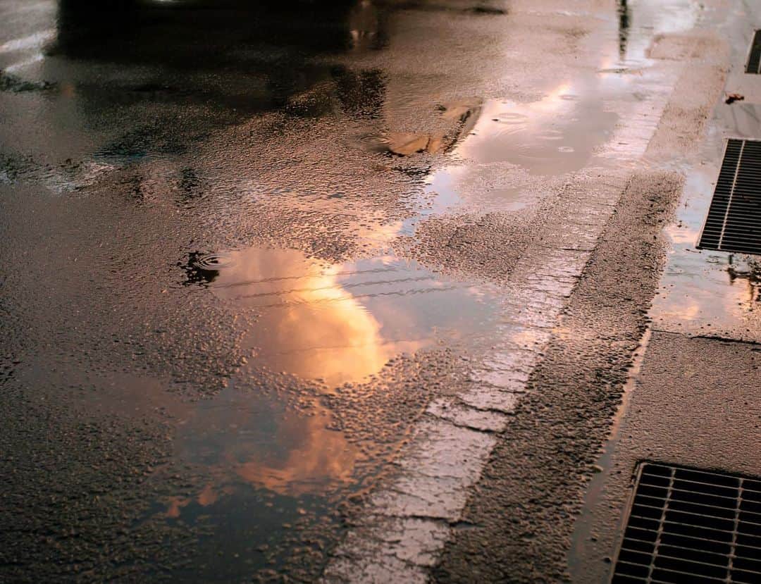 国分真央さんのインスタグラム写真 - (国分真央Instagram)「. 夏の湿度とも少しずつお別れ。 ⁡」8月31日 20時02分 - mao_kokubu