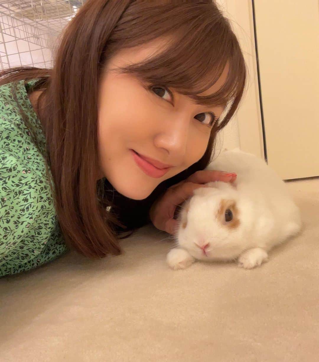 のインスタグラム：「今日で8月も最後ですね✨🌻  明日から娘の小学校が始まるので、 今日は荷物の確認をしていたら、あれがない、これは？とドタバタ。笑 最近の我が家のもふもふさん🐇 そして今日はスーパーブルームーン🌕 後ほど空を見てみようと思います✨  #8月最後 #我が家のもふもふ #うさぎのいる暮らし  #🐇 #かわいい #スーパーブルームーン #後ほどゆっくり見ます☺️ #今日も皆さんお疲れ様でした✨」