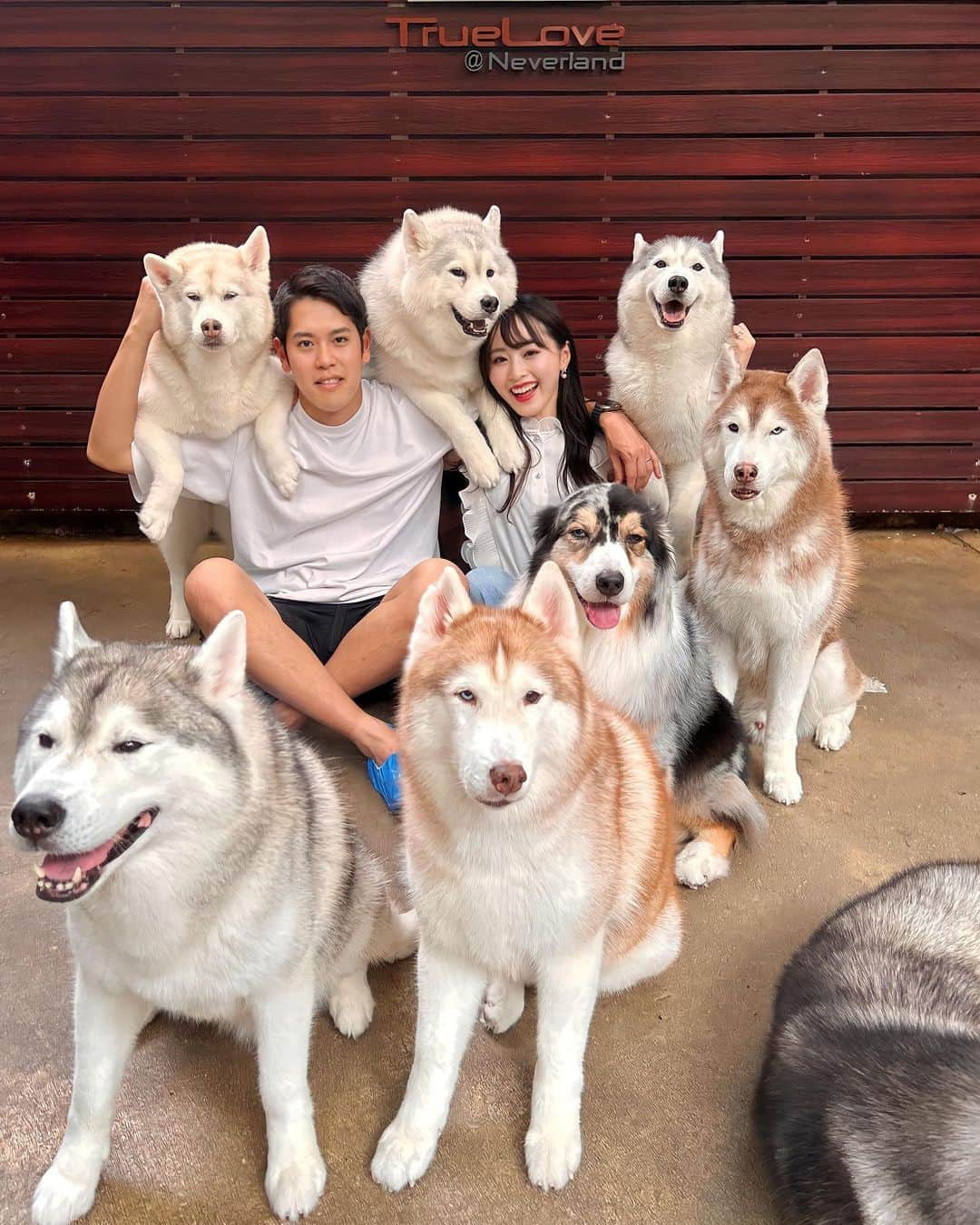 待鳥志織のインスタグラム：「さいっこうに癒された日🐶🤍 タイに行く人は絶対行くべき..！！ どの子も愛おしすぎたな~！！ 大型犬お迎えするのが夢♡ #trueloveneverland#タイ#バンコク#タイ旅行#ハスキーカフェ#🇹🇭」