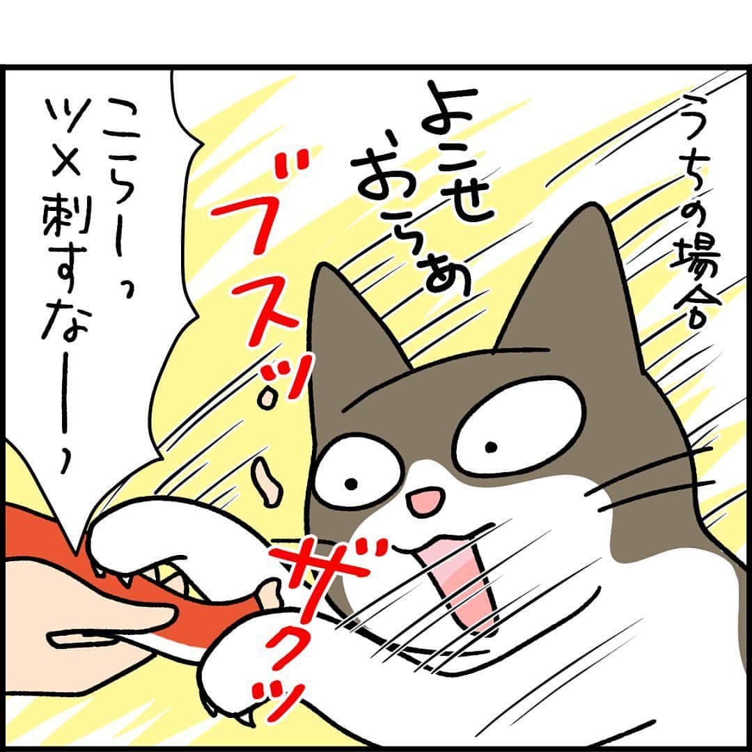 猫壱（ねこいち•ネコイチ）さんのインスタグラム写真 - (猫壱（ねこいち•ネコイチ）Instagram)「CMみたいにはいかない🤣   :::::::::猫壱 :::::::  猫壱は\…猫が幸せ、私も幸せ…/をモットーに猫グッズの開発に取り組んでいます♪ ▫ 気になる方は @necoichicojp をチェックしてみてくださいね！ ▫ ▫ 【Special thank-you @86palpal 💕💕💕💕】  Reproduction is  prohibited.  ...........................................................................  #ナノトクラス #猫あるある #猫漫画 #ネコマンガ  #猫まんが  #ねこまんが #キジシロ #黒猫 #猫と暮らす  #ねこあるある  ...........................................................................」8月31日 20時25分 - necoichicojp