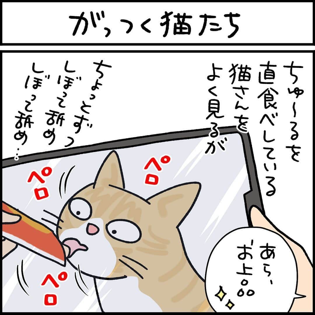 猫壱（ねこいち•ネコイチ）さんのインスタグラム写真 - (猫壱（ねこいち•ネコイチ）Instagram)「CMみたいにはいかない🤣   :::::::::猫壱 :::::::  猫壱は\…猫が幸せ、私も幸せ…/をモットーに猫グッズの開発に取り組んでいます♪ ▫ 気になる方は @necoichicojp をチェックしてみてくださいね！ ▫ ▫ 【Special thank-you @86palpal 💕💕💕💕】  Reproduction is  prohibited.  ...........................................................................  #ナノトクラス #猫あるある #猫漫画 #ネコマンガ  #猫まんが  #ねこまんが #キジシロ #黒猫 #猫と暮らす  #ねこあるある  ...........................................................................」8月31日 20時25分 - necoichicojp