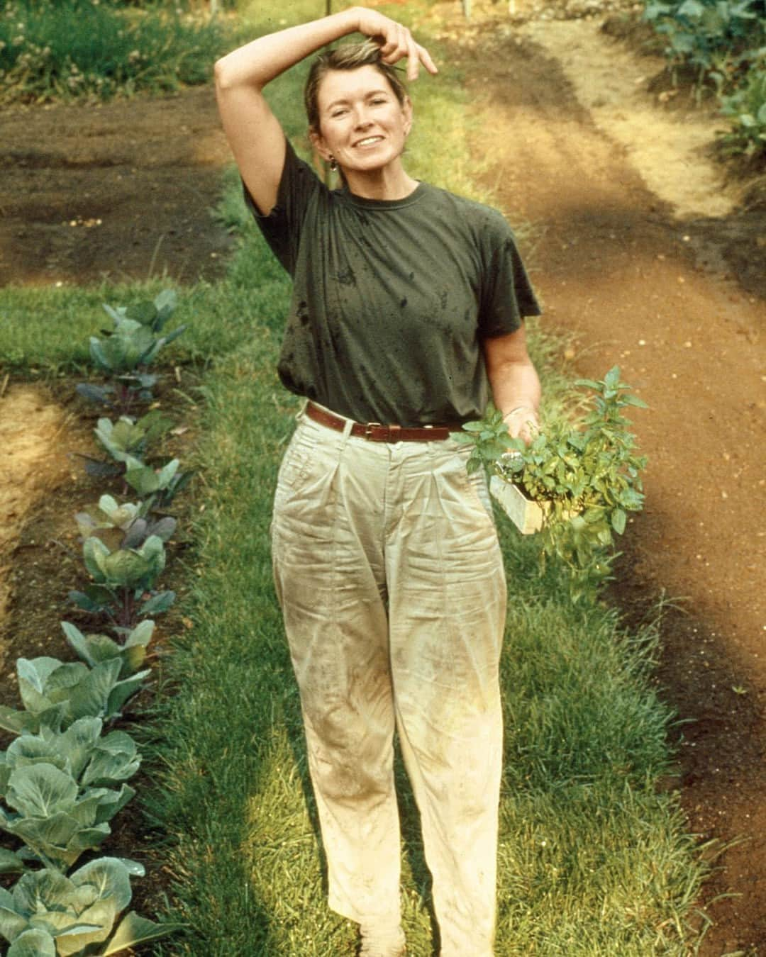 マーサ・スチュワートさんのインスタグラム写真 - (マーサ・スチュワートInstagram)「"This photo was taken more than three decades ago in my vegetable garden at Turkey Hill," Martha says of this snapshot, circa summer 1988. "Once a gardener, always a gardener." You'll still often find our founder in her Bedford gardens, harvesting whatever is in season. What is currently growing in your garden? Let us know in the comments below. 📷: Elizabeth Zeschin, @marthastewart48」8月31日 21時10分 - marthastewart