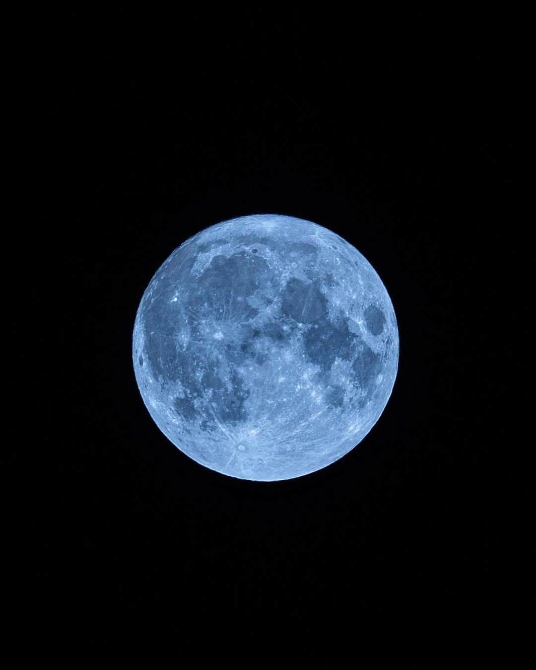 サイモン さんのインスタグラム写真 - (サイモン Instagram)「SUPER BLUE MOON 🐺🌕🛸」8月31日 20時37分 - simonjakops