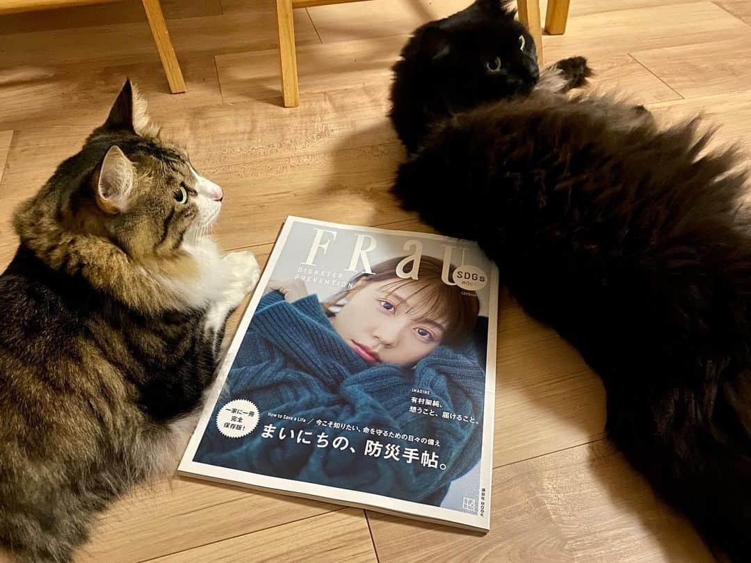 伊藤さとりさんのインスタグラム写真 - (伊藤さとりInstagram)「雑誌「FRaU」の特集号にて 「防災に役立つおすすめ映画」を 見開きで紹介しています。 ステキなイラストでの展開。 『サバイバル・ファミリー』を始め、 邦画から洋画まで幅広くご紹介。 是非に。  #有村架純 さんが登場！ 完全保存版まるごと一冊「#防災」特集号を発売 | FRaU the Earth  https://gendai.media/articles/-/115431  #雑誌 #フラウ #女性誌  #防災 #サバイバル映画  #パニック映画 #ディザスター映画  #おすすめ映画 #映画ライター」8月31日 20時43分 - ito_satori