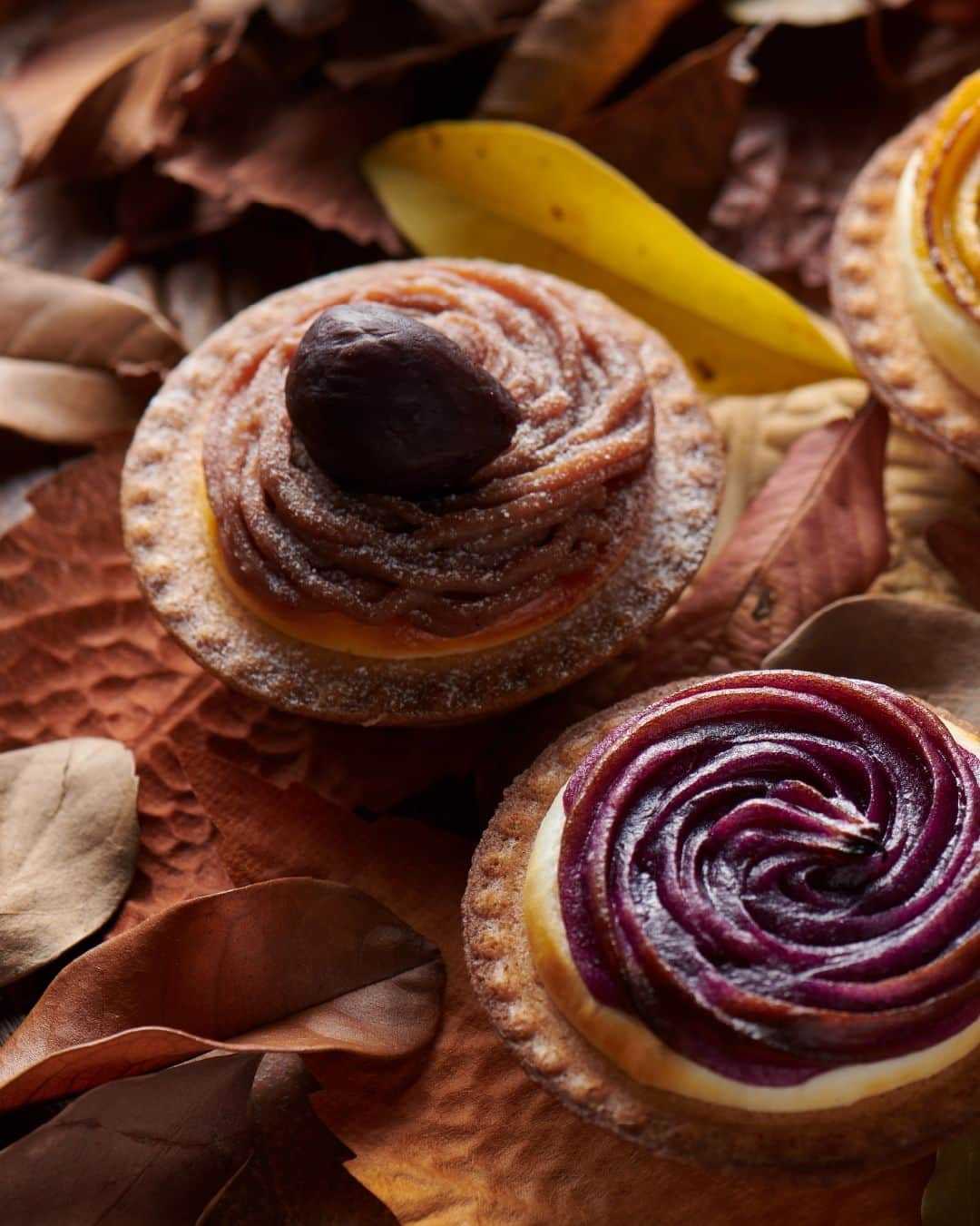 BAKE CHEESE TART OFFICIALさんのインスタグラム写真 - (BAKE CHEESE TART OFFICIALInstagram)「明日発売🍁  「安納芋スイートポテト」と 「パンプキン」がスタートします😋  ┈┈┈┈┈┈┈┈ 🍁Happy Autumn Cheese Tart Fair🍁  9/1(金) 〜 🍠安納芋スイートポテト 🎃パンプキン  10/1(日) 〜 🌰モンブラン  10/15(日) 〜 🍠紫芋 ┈┈┈┈┈┈┈┈  ※ 紫芋はサクラマチ熊本店・アミュプラザ鹿児島店は販売対象外となります。 ※ 全商品売り切れ次第終了  #ベイクチーズタルト #bakecheesetart #チーズタルト専門店 #チーズタルト #チーズ #チーズケーキ #安納芋 #スイートポテト #さつまいもスイーツ #パンプキン #かぼちゃ #かぼちゃスイーツ #モンブラン #montblanc #栗スイーツ #紫芋」8月31日 21時00分 - bakecheesetart