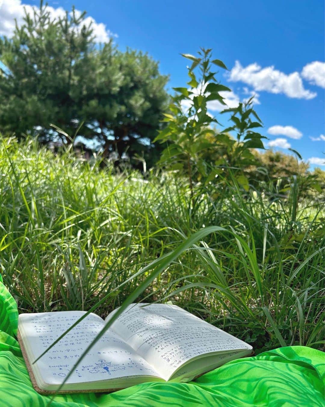 LINA（吉村リナ）のインスタグラム：「𝘈𝘶𝘨𝘶𝘴𝘵 𝘸𝘢𝘴 𝘭𝘪𝘬𝘦 𝘢 𝘤𝘰𝘭𝘭𝘦𝘤𝘵𝘪𝘰𝘯 𝘧𝘶𝘭𝘭 𝘰𝘧 𝘱𝘳𝘦𝘤𝘪𝘰𝘶𝘴 𝘭𝘪𝘵𝘵𝘭𝘦 𝘮𝘰𝘮𝘦𝘯𝘵𝘴… 𝘐 𝘩𝘢𝘷𝘦 𝘯𝘰 𝘳𝘦𝘨𝘳𝘦𝘵𝘴💛🎞️🍃  𝘏𝘰𝘸 𝘢𝘣𝘰𝘶𝘵 𝘺𝘰𝘶??  PS. 明日の朝10時〜 ９月の𝗝𝗼𝘂𝗿𝗻𝗮𝗹 𝘄𝗶𝘁𝗵 𝗺𝗲 𝗟𝗜𝗩𝗘です!!✍️✨」