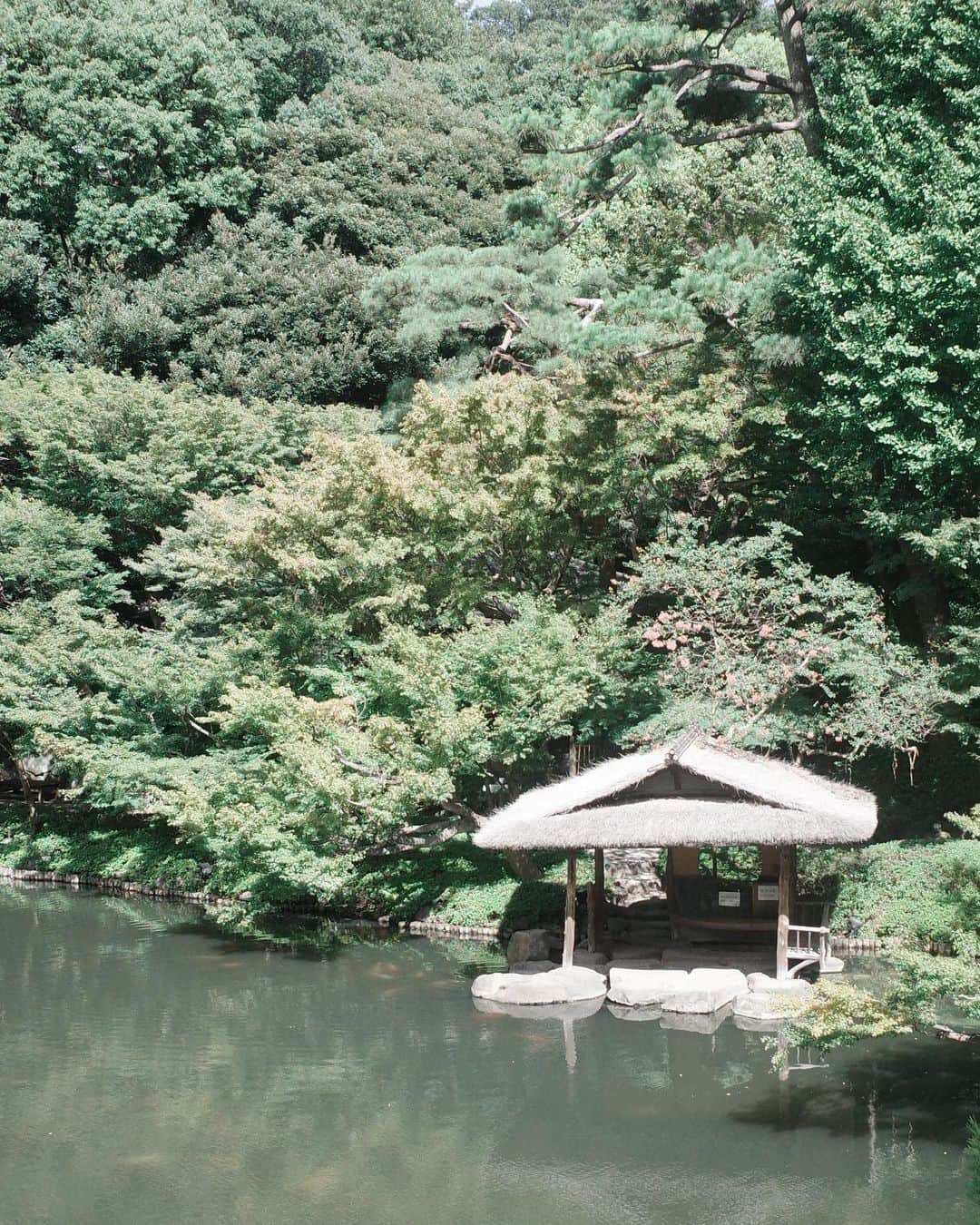 齊藤澪菜さんのインスタグラム写真 - (齊藤澪菜Instagram)「先日ね、八芳園の広報の方がお庭と新しいレストランをご紹介してくださる機会があったのだけど、あまりにも気持ちがいい空間で、3日後の彼のお誕生日ディナーの予約もして帰った。  ランチもとっても繊細で素敵だったけど、ディナーも驚くほど美味しかったから、是非大切な人と行って欲しい。  港区にもこんなに静かな時間が流れている所があるのね、、。お庭はどなたでも入れるので、お疲れの皆さん、どうぞ癒されに行って、お茶でも頂いてきて。  もう紅葉が楽しみ( ◠‿◠ )  🍃 @happoen  🍽️ @restaurant_enjyu   #八芳園 #enju #happoen #japaneserestaurant #tokyofood #tokyorestaurant」8月31日 21時04分 - rena62s