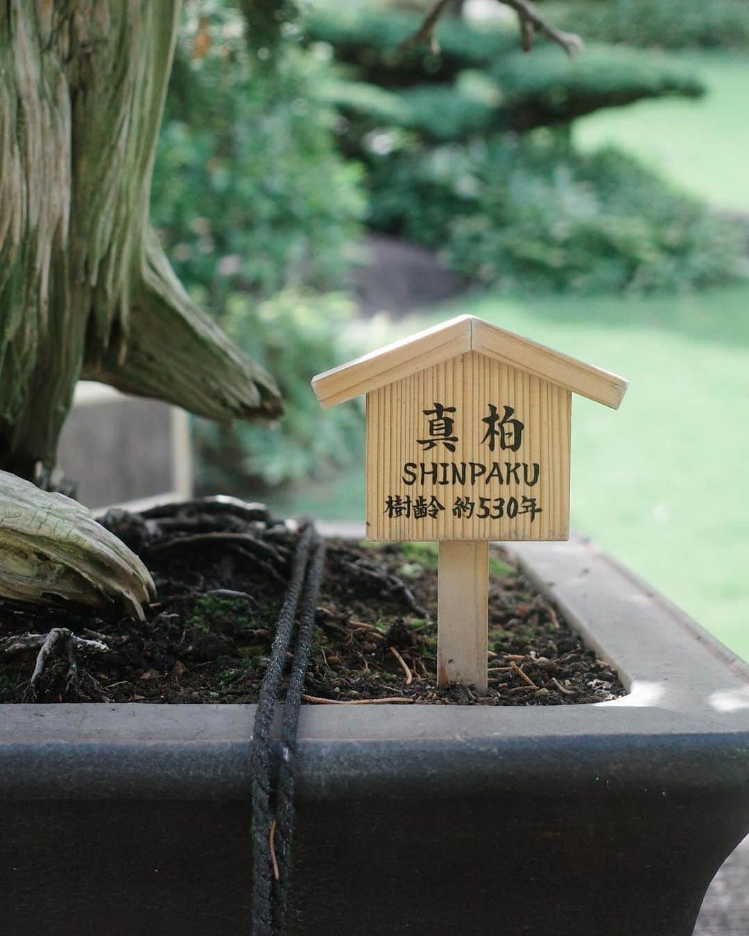 齊藤澪菜さんのインスタグラム写真 - (齊藤澪菜Instagram)「先日ね、八芳園の広報の方がお庭と新しいレストランをご紹介してくださる機会があったのだけど、あまりにも気持ちがいい空間で、3日後の彼のお誕生日ディナーの予約もして帰った。  ランチもとっても繊細で素敵だったけど、ディナーも驚くほど美味しかったから、是非大切な人と行って欲しい。  港区にもこんなに静かな時間が流れている所があるのね、、。お庭はどなたでも入れるので、お疲れの皆さん、どうぞ癒されに行って、お茶でも頂いてきて。  もう紅葉が楽しみ( ◠‿◠ )  🍃 @happoen  🍽️ @restaurant_enjyu   #八芳園 #enju #happoen #japaneserestaurant #tokyofood #tokyorestaurant」8月31日 21時04分 - rena62s