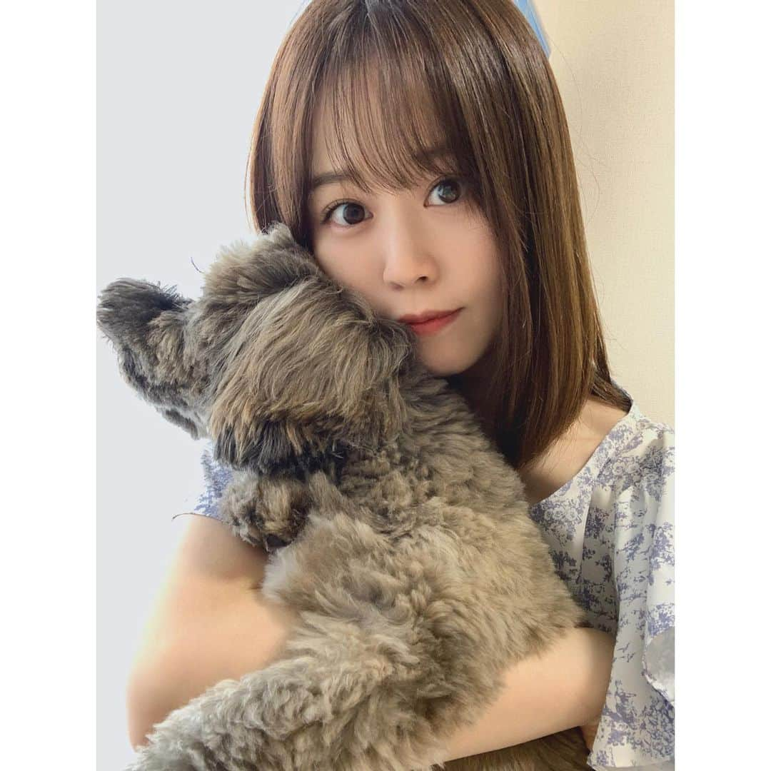 日岡なつみのインスタグラム：「🐶🤍👩🏻 盛れるアプリ教えてもらったから久しぶりにすみれと撮ろうと思ったけど、全然見てくれなかった☺️ まっすぐ外見とる☺️」