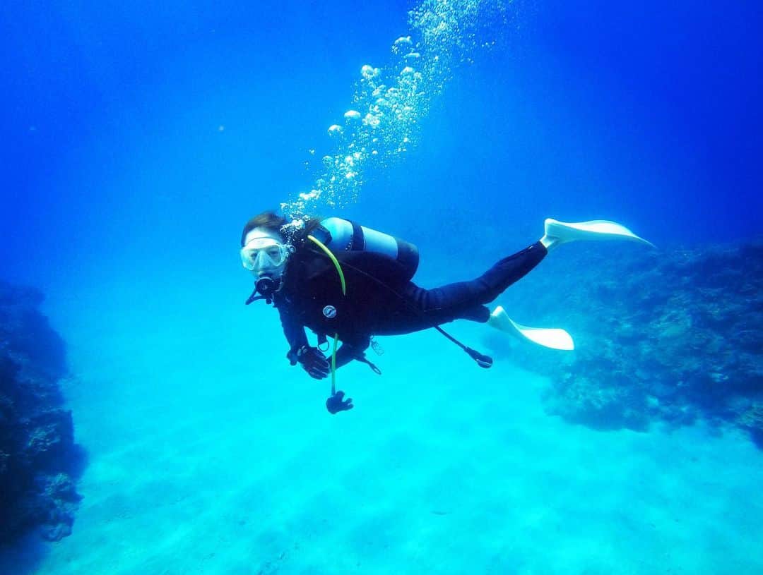小田茜さんのインスタグラム写真 - (小田茜Instagram)「皆様 こんにちは！  夏休みを利用して、ダイビングの講習に行って参りました。 台風が近づく中、2日間に渡る講習を無事に終了しました。 海の中は、まさに宇宙遊泳🤩 見たこともない多様性に富んだ世界が広がっており、人生観が変わるほどです。 今回初めてのダイビングでは、可愛いウミガメにも遭遇できました！ 次は、どんな水中生物に出逢えるかな⁉️ 楽しみが無限大です♾️ 海の取材、大歓迎😆👍 お待ちしております！  akane  #小田茜 #ダイビング #海 #ウミガメ #宇宙遊泳 #多様性 #ダイビングに夢中」8月31日 12時25分 - oda_akane1106