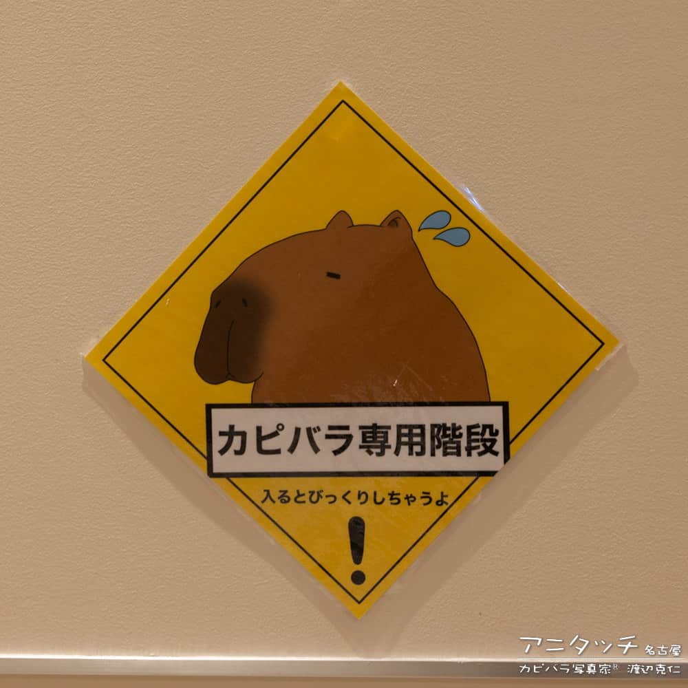渡辺克仁さんのインスタグラム写真 - (渡辺克仁Instagram)「困った顔の表現が秀逸なカピバライラスト、注意看板。  #カピバラ #水豚 #capybara #アニタッチ名古屋」8月31日 13時00分 - katsuhito.watanabe