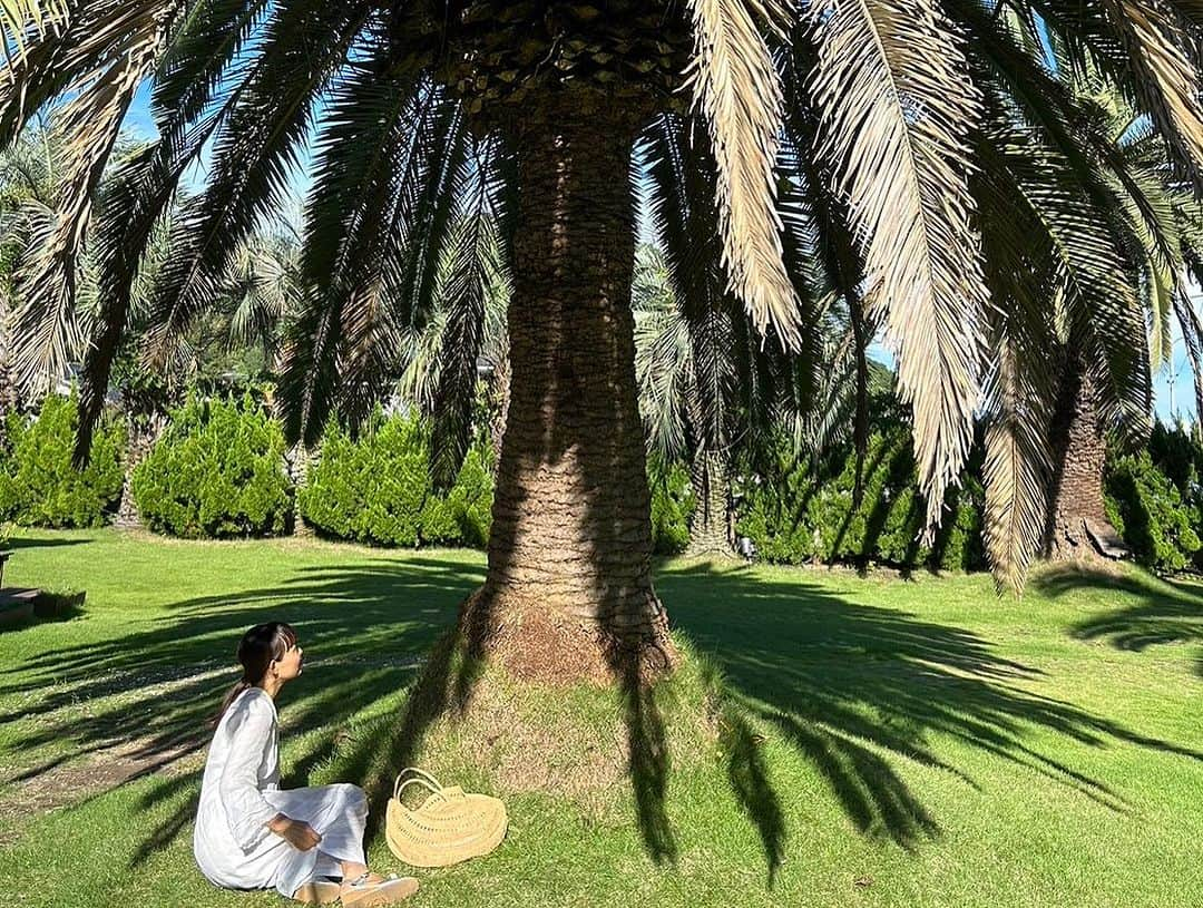 青山有紀さんのインスタグラム写真 - (青山有紀Instagram)「向島の立花食堂さん🌴 海も氣持ち良かった〜🌞🌊」8月31日 13時26分 - yukiaoya