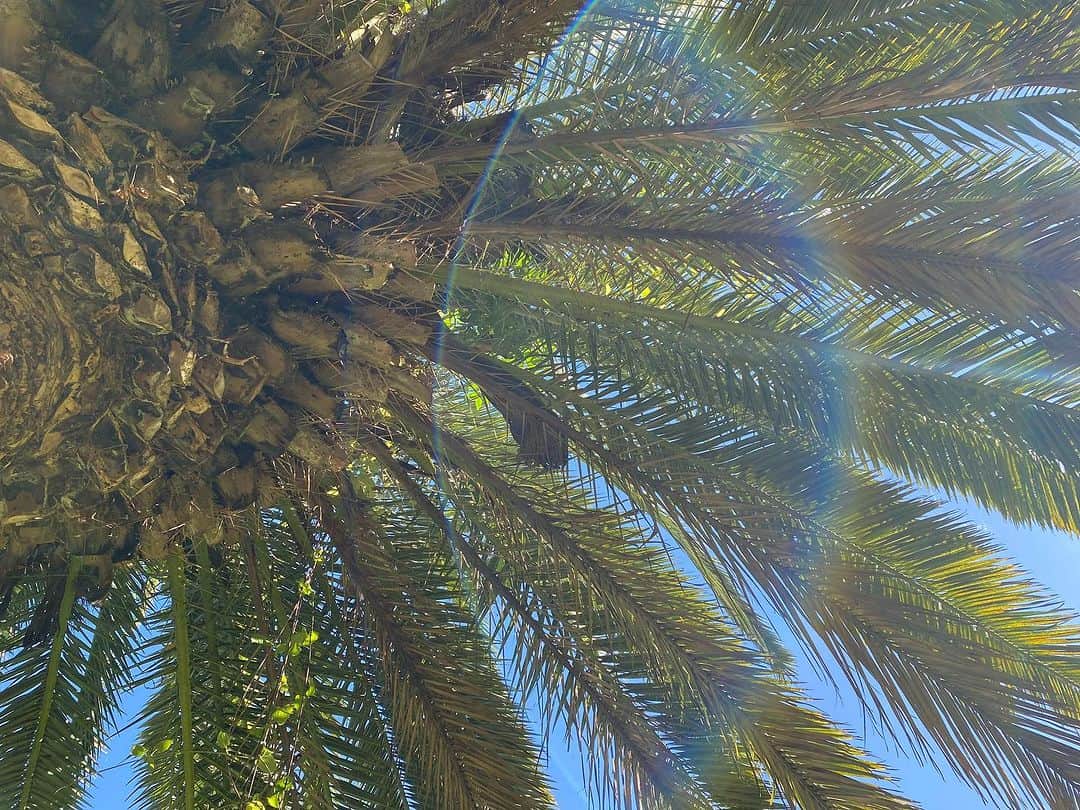 青山有紀のグルメインスタ