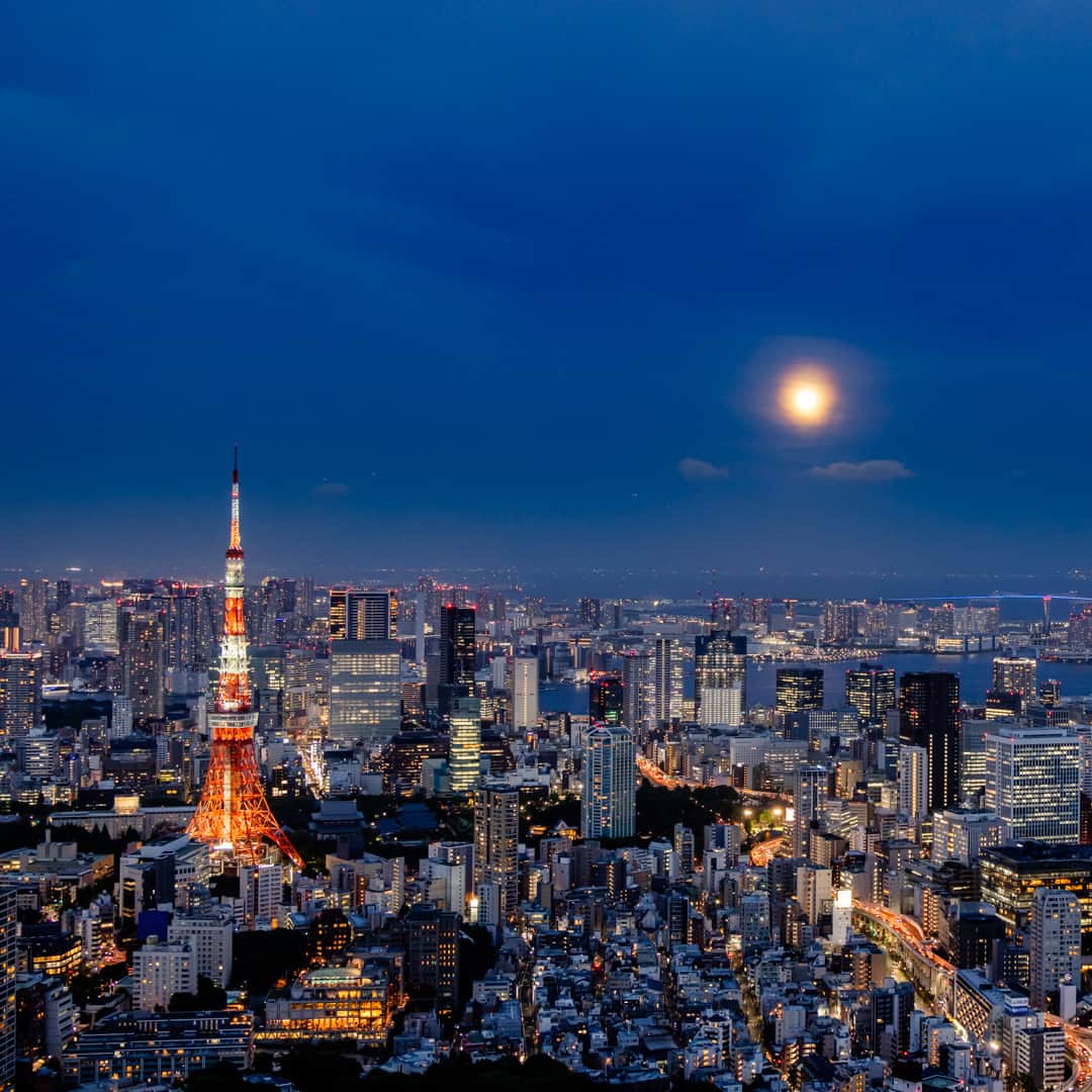 Tokyo City View 六本木ヒルズ展望台のインスタグラム：「＼今夜は満月🌝／  スカイデッキへ東京の夜景と輝く満月を眺めにいらっしゃいませんか？ 本日も22:00までオープン！（最終入場21:30） ※荒天、雷雲発生はクローズ  🐳本日最終日🐳 「ナイト・ホエールビューイング」 19:30より涼を感じるクジラの映像を投影🌊🌊 https://tcv.roppongihills.com/jp/exhibitions/summer2023/  撮影：荒谷良一  #六本木ヒルズ展望台 #スカイデッキ #東京シティビュー #満月 #夜景 #展望台 #絶景 #景色 #荒谷良一 #RoppongiHillsObservation #skydeck #TokyoCityView #SummerSkyDeck2023 #TCV #fullmoon #Tokyo #japantravel #tokyo #roppongi #RyoichiAratani #travelgram #japantrip #japan_daytime_view #japan_of_insta #bestjapanpics #tokyomuseum #artoftheday」