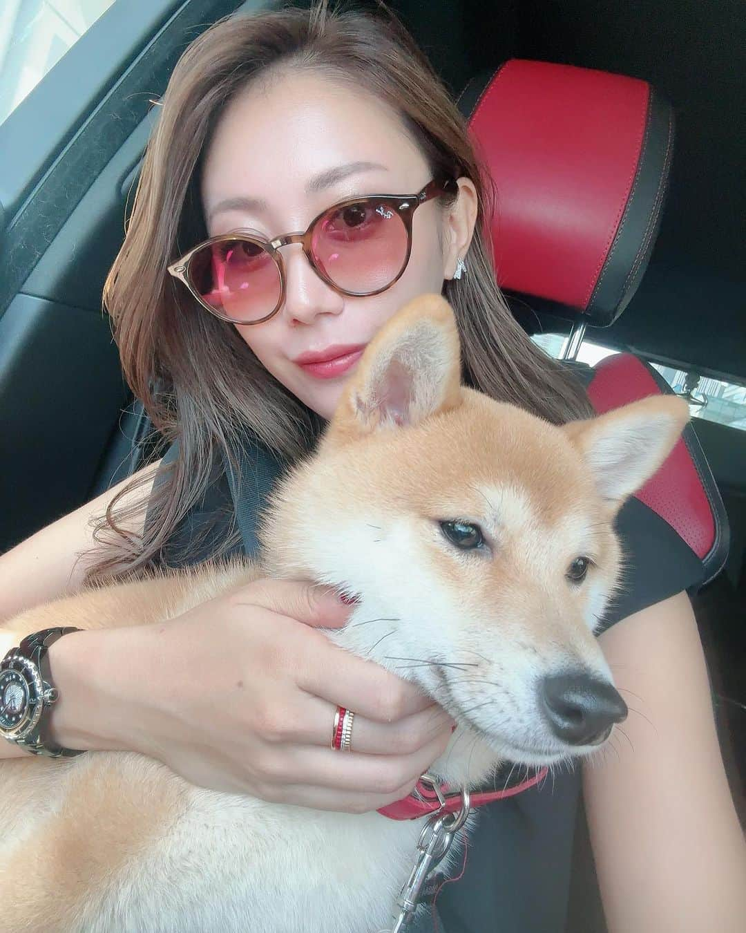 齋藤菜月のインスタグラム：「どんどん人っぽくなっていくルーク🐕 たくさん一緒にいるからかなあ🐶🩷  表情豊かで可愛い🥹🩷  喘息が良くならなくて しんどいのですが 小児喘息だったときよりは 大人になって自分で病院にも行けて対処もできるので  とりあえず今は 検査もちゃんとして 大人の喘息と向き合っていけるように改善策を探しているところです🏥  吸入すると心臓バクバクして手が震えるのがきつい、、  自分を大切にする35歳にするべく 持病を改善させられるようにがんばります。  咳しすぎて寝れなくて疲れる🥲  #豆柴#もうすぐ9ヶ月」