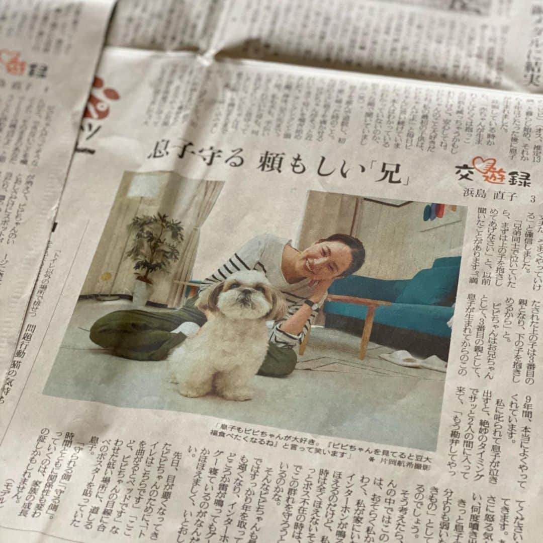 浜島直子のインスタグラム：「みなさんこんにちは🐶  かあちゃんが　まんじゅうと　しんぶんにのりました🐶  かあちゃんは　よくまんじゅうをたべてるからだとおもいます🐶  ぼくは　まんじゅうよりトマトがすきです🐶  みなさんも　がんばってください🐶✨ ・ #読売新聞 #読売新聞夕刊 #読売新聞ペットらいふ  #ペットらいふ #計4回寄稿しました #読売新聞オンライン　でもアップされています #ピピちゃんとの出会いと今とこれからのことを書きました #お時間ありましたら覗いてみてくださいね✨ #ピピちゃん #シーズー #元保護犬」