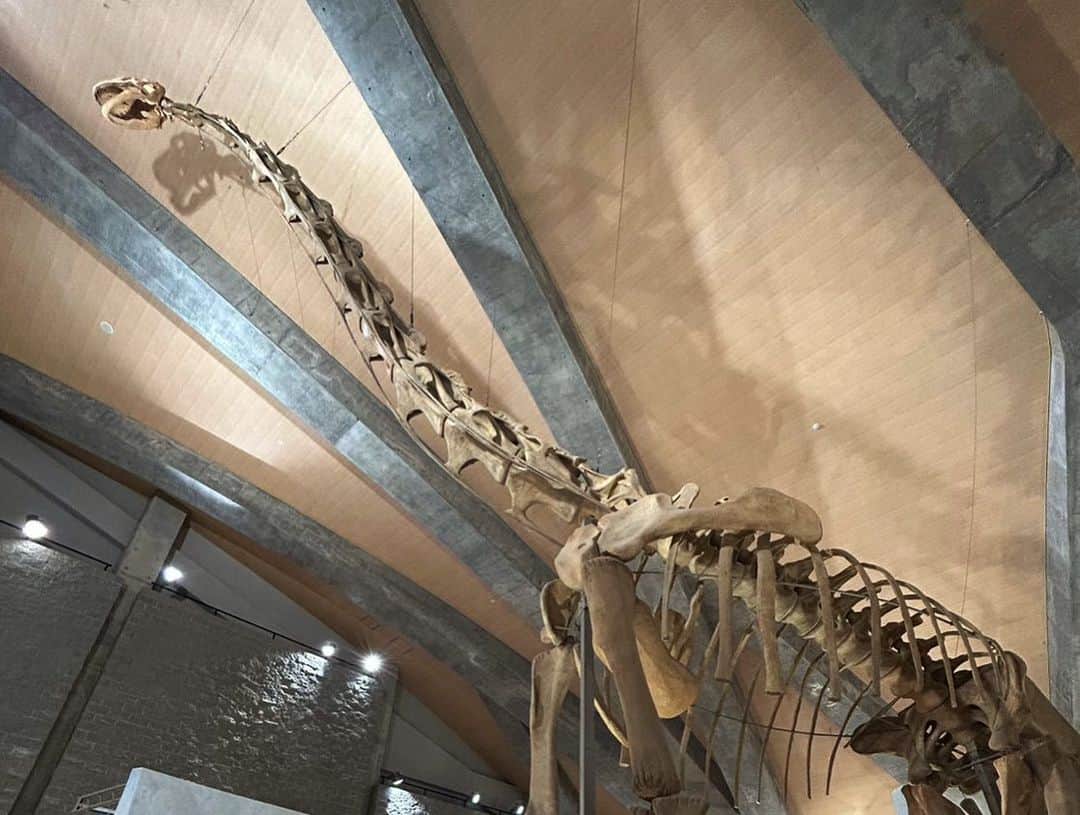 神岡実希さんのインスタグラム写真 - (神岡実希Instagram)「ー そういえば恐竜に会ったんだ！🦕🦖恐竜が今の時代に産まれたらって考えたら、ワクワクしたよ💭🙈プテラノドンッ。」8月31日 21時34分 - miki_kamioka