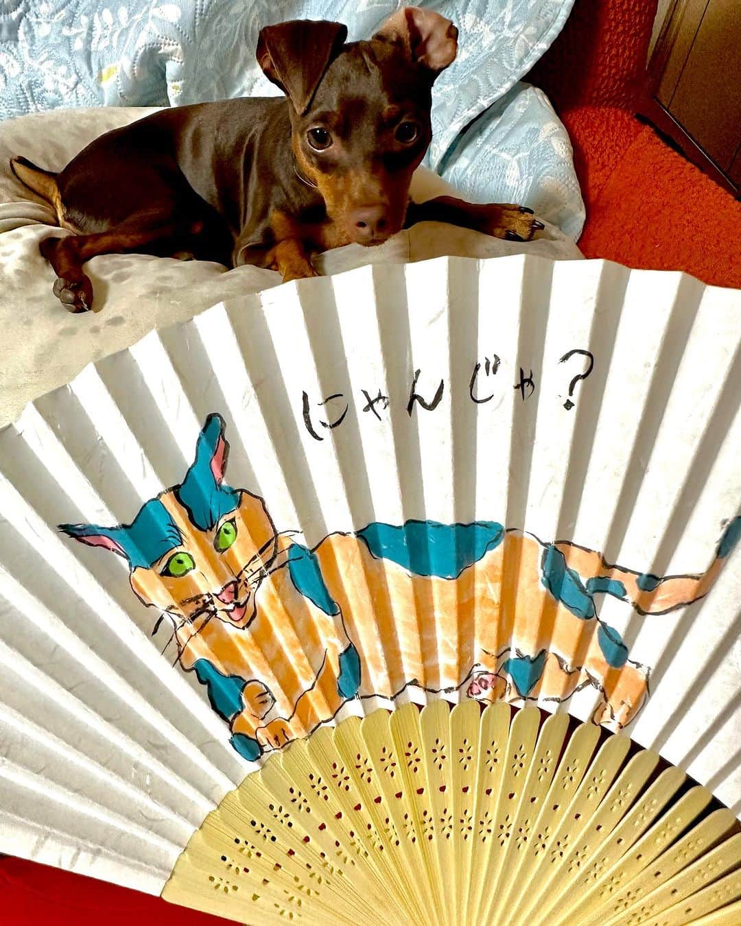 のインスタグラム：「オオタスセリさんの手描きのお扇子を 頂きました💕嬉しい💕 大切に使わせて頂きます  今度はルビーも描いてくださるそう 楽しみです  #オオタスセリさん #金月真美」