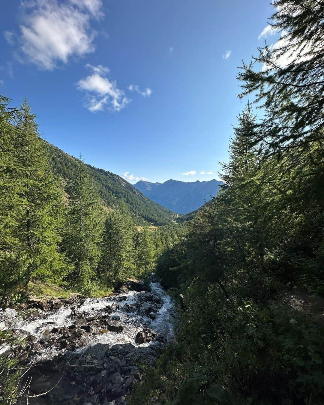 ポーリーヌ・オアロさんのインスタグラム写真 - (ポーリーヌ・オアロInstagram)「End of holidays and I finally find a time to post 🫶🏼 Mountains, hiking, streams, running and family.  It felt good 🥰  — I brought nail polish and a book in my luggage for a whole month to realize I couldn’t find a SINGLE time to use either of them !  It pretty much sums it up 😅  Daycare started this week, I am starting to find some time for myself which I haven’t really had for monthS. Happy and sad. Motivated and drained out. Making unforgettable memories !   Our family @simonthoret ❤️」8月31日 16時21分 - paulinehoarau