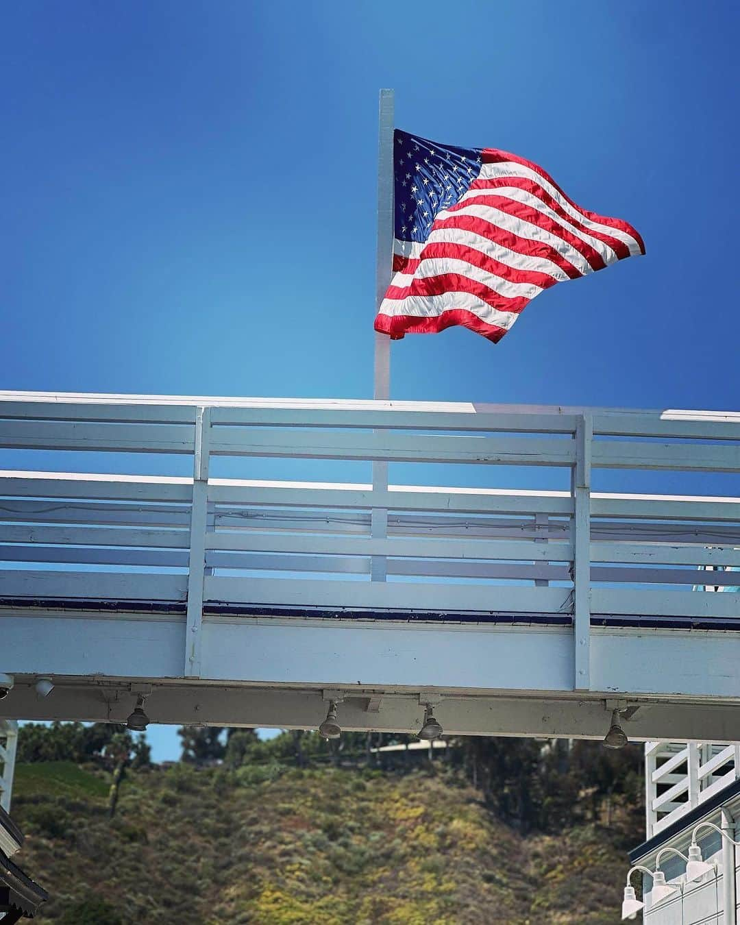 曽根由希江さんのインスタグラム写真 - (曽根由希江Instagram)「LA🇺🇸Malibu🏝️ ざっぱーん！な鳥さん撮れて満足。  #今夜もラジオ聞いてね #bayfm #あしたの音楽」8月31日 16時54分 - yukiesone427