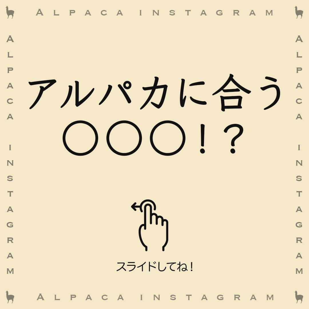 のインスタグラム：「夏野菜の定番料理やチーズ料理に合う、アルパカワインをご紹介💁‍♀️⁠ ⁠ みんさんの投稿を、いつも参考にさせてもらっています。⁠ すてきな投稿をありがとうございます🥰⁠ ⁠ ・チキンチーズカツ @mr.uchikun1214pancake さん⁠ 濃厚なトマトソースのチキンチーズカツには、エキゾチックなカルメネールが最高の相棒ですね❣⁠ ⁠ ・クアトロフォルマッジ @_______yoxxkolovexx さん⁠ ワインにはトマトベースのピザが定番ですが…チーズベースのピザには、キリっと爽やかなソーヴィニヨン・ブランを合わせると、チーズのコクを軽やかに引き立ててくれますね✨⁠ ⁠ ・夏野菜の揚げびたし @tetsuko_0727 さん⁠ 茄子の旨味やタレの風味が、コクのあるシャルドネ・セミヨンと調和しますね🍆⁠ ⁠ ご協力いただいたみなさん、ありがとうございます🍷⁠ ⁠ ┈┈┈┈┈┈┈┈┈┈┈┈┈┈┈┈⁠ ハッシュタグ、⁠ #今日のアルパカ #アルパカワイン⁠ で、みなさんからの投稿を募集中🍷⁠ 公式アカウントでご紹介させていただきます！⁠ おすすめのおつまみや、アルパカと一緒に食べたおうちごはんなど、投稿をお待ちしています！⁠ ┈┈┈┈┈┈┈┈┈┈┈┈┈┈┈┈⁠ ⁠ #alpaca#alpacawine#白ワイン#赤ワイン#白ワインに合う#赤ワインに合う#チリワイン#リーズナブルワイン#デイリーワイン#コスパワイン#ワインのある暮らし#ワインに合うおつまみ#ワインに合う料理#おうちワイン#家飲みワイン#ワイン好きな人と繋がりたい#おつまみ#家飲み#宅飲み#晩酌#ワインのお供#ワインのつまみ#おうちで乾杯#おうちごはんlover#winelover#winetime」