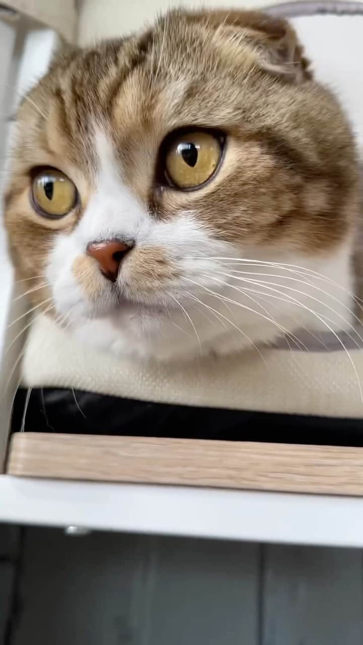 yayoi89のインスタグラム