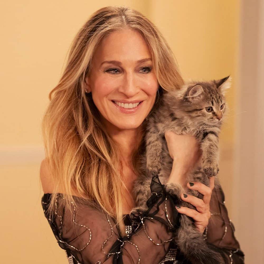 Vogue Españaのインスタグラム：「And just like that… @sarahjessicaparker ha adoptado al gatito Shoe de la serie, bautizado en la vida real como Lotus. {Además, te contamos todos los detalles de la tercera temporada en el link de la bio}」
