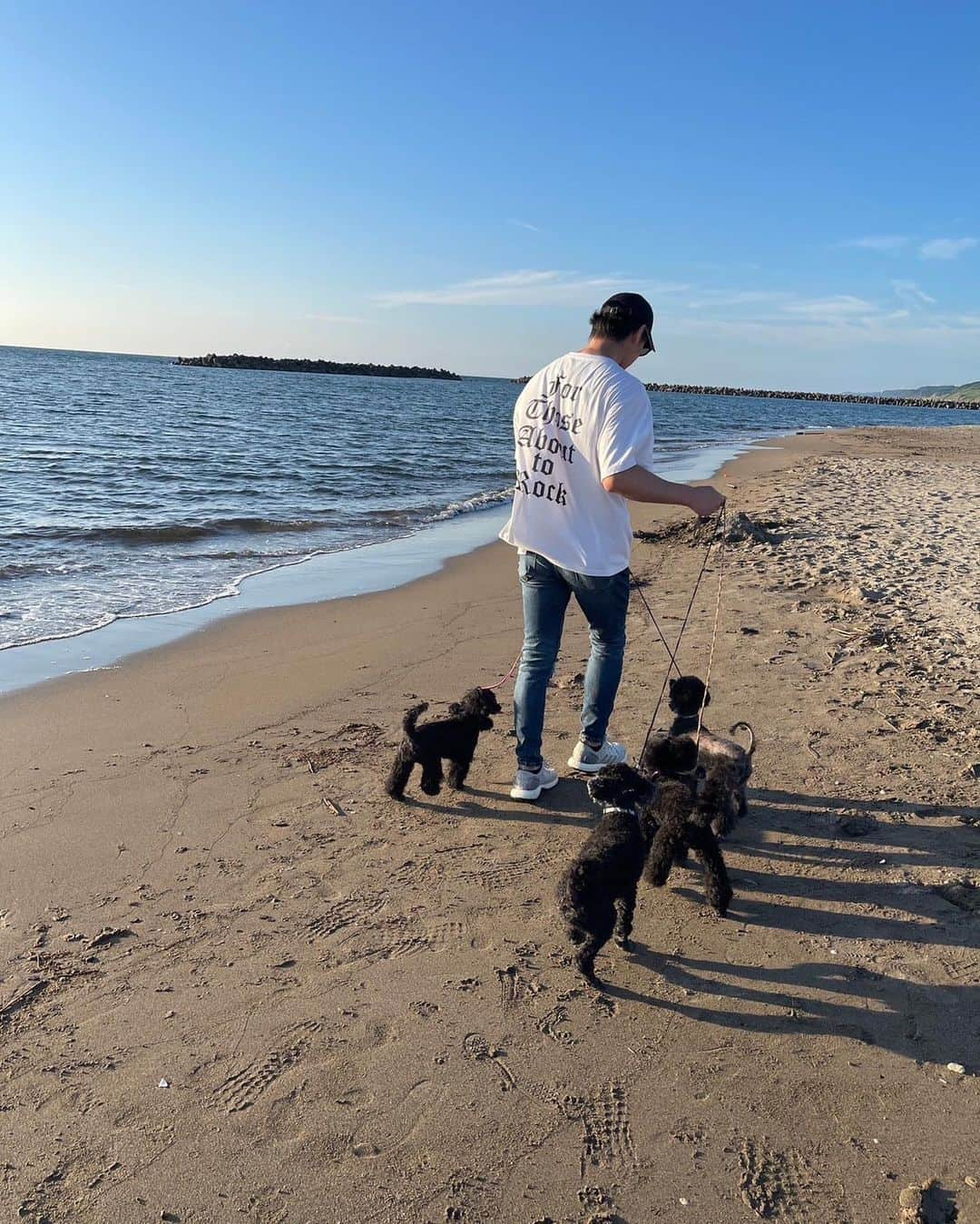 宮上元克さんのインスタグラム写真 - (宮上元克Instagram)「犬と海岸と私 群れのリーダーは俺だっ！」8月31日 18時12分 - motokatsu_dr