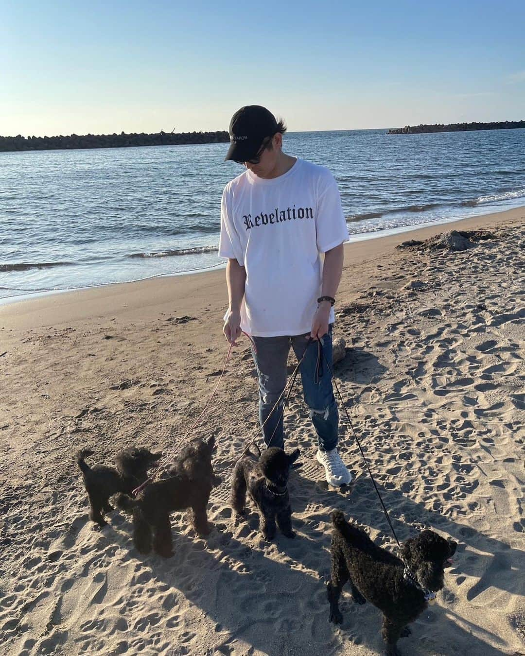 宮上元克のインスタグラム：「犬と海岸と私 群れのリーダーは俺だっ！」