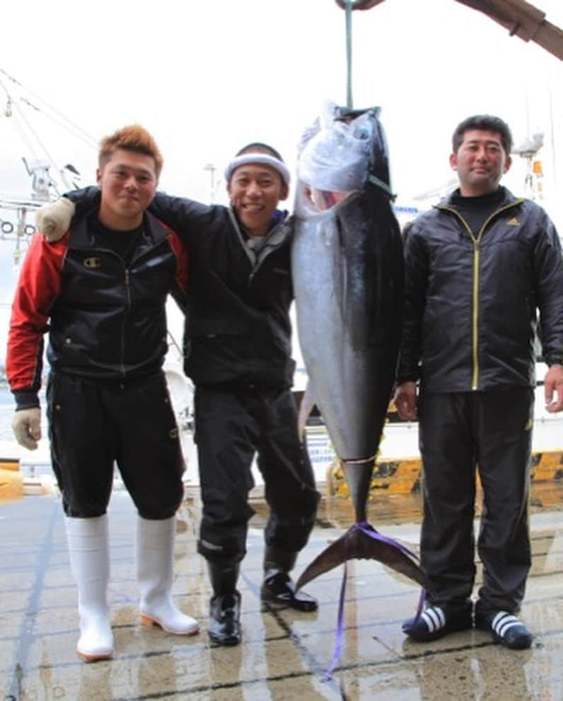 武井ドンゲバビーさんのインスタグラム写真 - (武井ドンゲバビーInstagram)「マグロの釣り🎣  現在→11年前  今から遡る事11年前 イッテQの企画で青森県大間のマグロ一本釣り企画で、大間のマグロ漁師菊池親子にお世話になりました！  そして11年が経ち  単身大間へ。  またマグロ釣りでおやっさんと長男の正真にマグロ釣りをやらさせて頂きました。  本当に本当に凄まじい世界なんです。  YouTube編集頑張ります！  近日公開！  #まぐろ #鮪 #大間 #大間のマグロ  #本マグロ  #大運丸 #イッテq  #ドンゲバビー #武井ドンゲバビー」8月31日 18時20分 - takeidongebabee