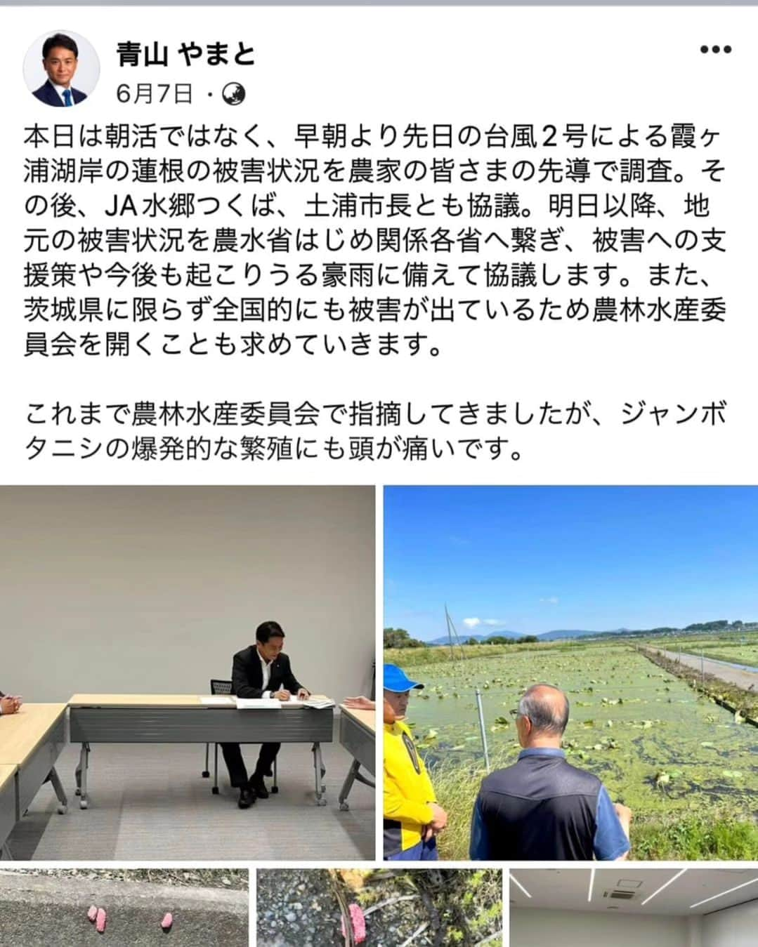 青山大人のインスタグラム：「【青山やまと尽力■激甚災害指定されました■６月に地元の農業も被害を受けた台風 対策が一歩前進】  皆様こんばんは。いつも応援頂きありがとうございます。  さて、青山やまとの個人フェイスブックでも掲載していますが、 今年６月、地元農業🌳🌿が被害を受け、翌日には青山が現場に駆け付けて関係者に状況を確認し、 即、衆議院農水委員会で政府へ救済を求める質疑を行った台風被害😓について、 8日25日に激甚災害指定が閣議決定され、8月30日に公布されました。👍  青山は、地元のために確実な実績と行動力で、今後も進んでまいります。  ご参考　内閣府のHP https://www.bousai.go.jp/pdf/230830_seirei.pdf  #茨城県　#土浦市　#土浦 #かすみがうら市　#かすみがうら　#石岡 #石岡市 #茨城の農業 を守る #農業支援 #茨城農家　#茨城野菜 🌾を守る #台風被災　 #レンコン 🍪畑も被害を受けました」