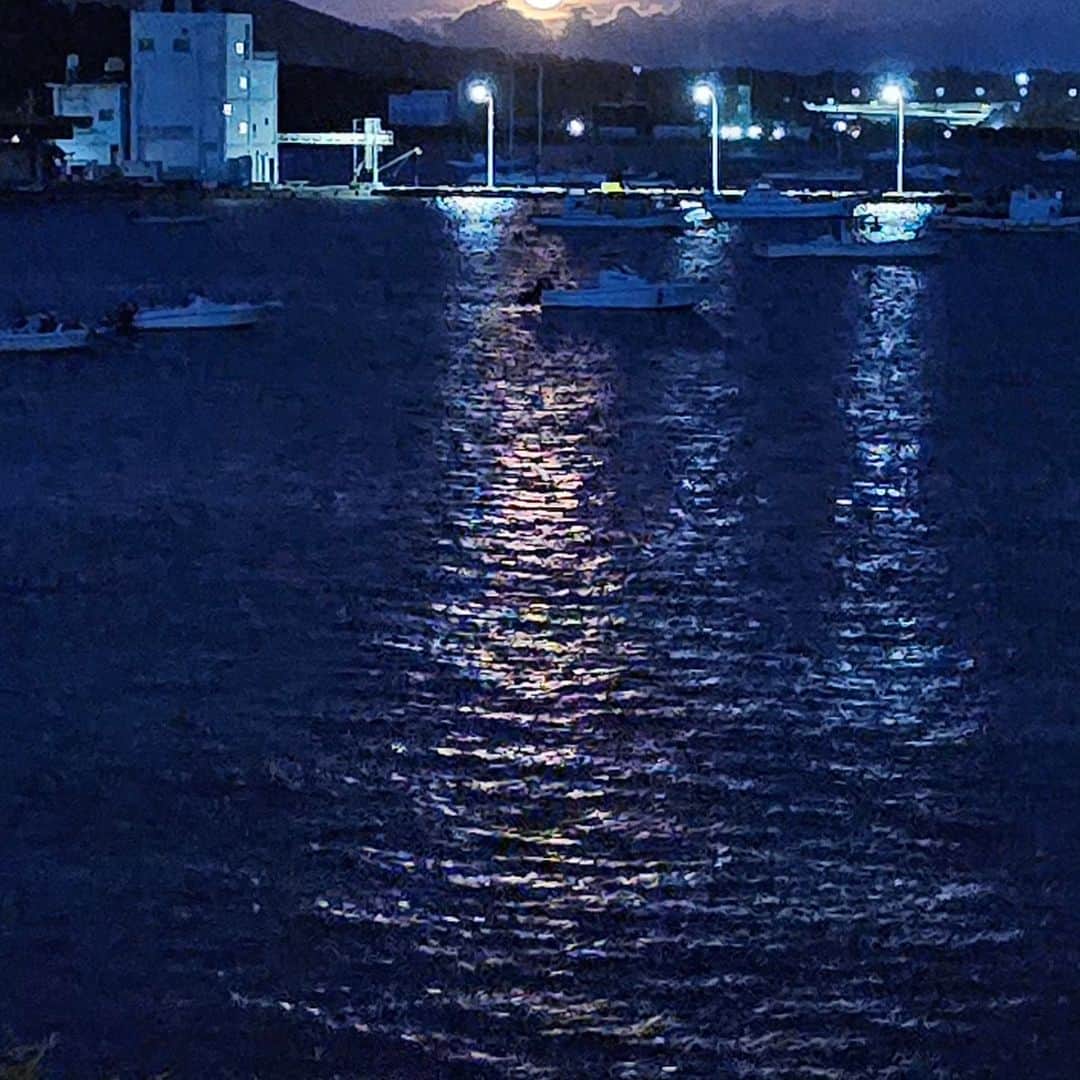 ピーターさんのインスタグラム写真 - (ピーターInstagram)「ブルームーンの、満月🌕️  佐島マリーナと漁港の間に、凄く大きく出てきました❤️ ホントにお月様は、神秘的です😆🎵🎵」8月31日 18時57分 - oziba1952