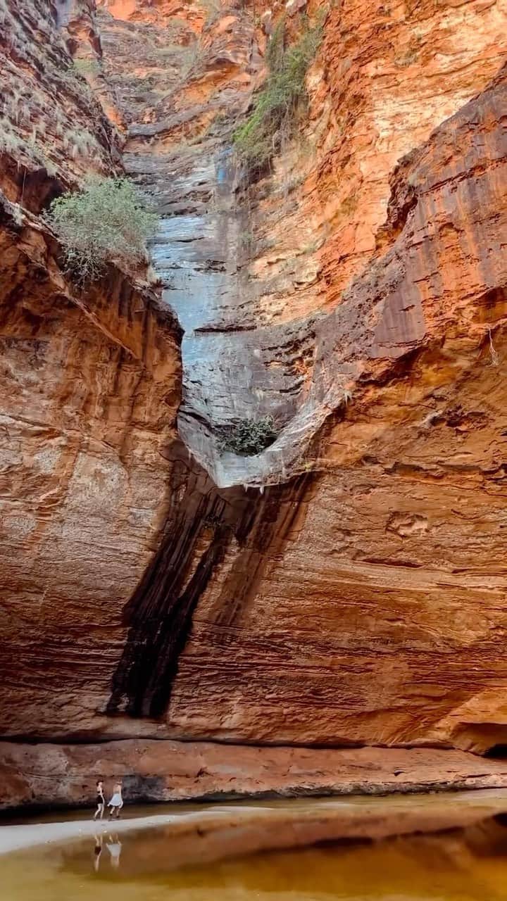 Australiaのインスタグラム：「Ready to test your vocal cords? 🎶 Hidden deep within the domes of the #BungleBungles in @westernaustralia, you’ll discover the natural rock amphitheatre of #CathedralGorge, captured here by @surroundedbywilderness. Nestled within the World Heritage-listed #PurnululuNationalPark on Djaru and Gidja Country, experience the mind-blowing natural acoustics of this spectacular place on a guided tour with @kingfishertours ❤️   🎥: @surroundedbywilderness   📍: Cathedral Gorge, Purnululu National Park, @australiasnorthwest, @westernaustralia   #SeeAustralia #ComeAndSayGday #WATheDreamState #AustraliasNorthWest」