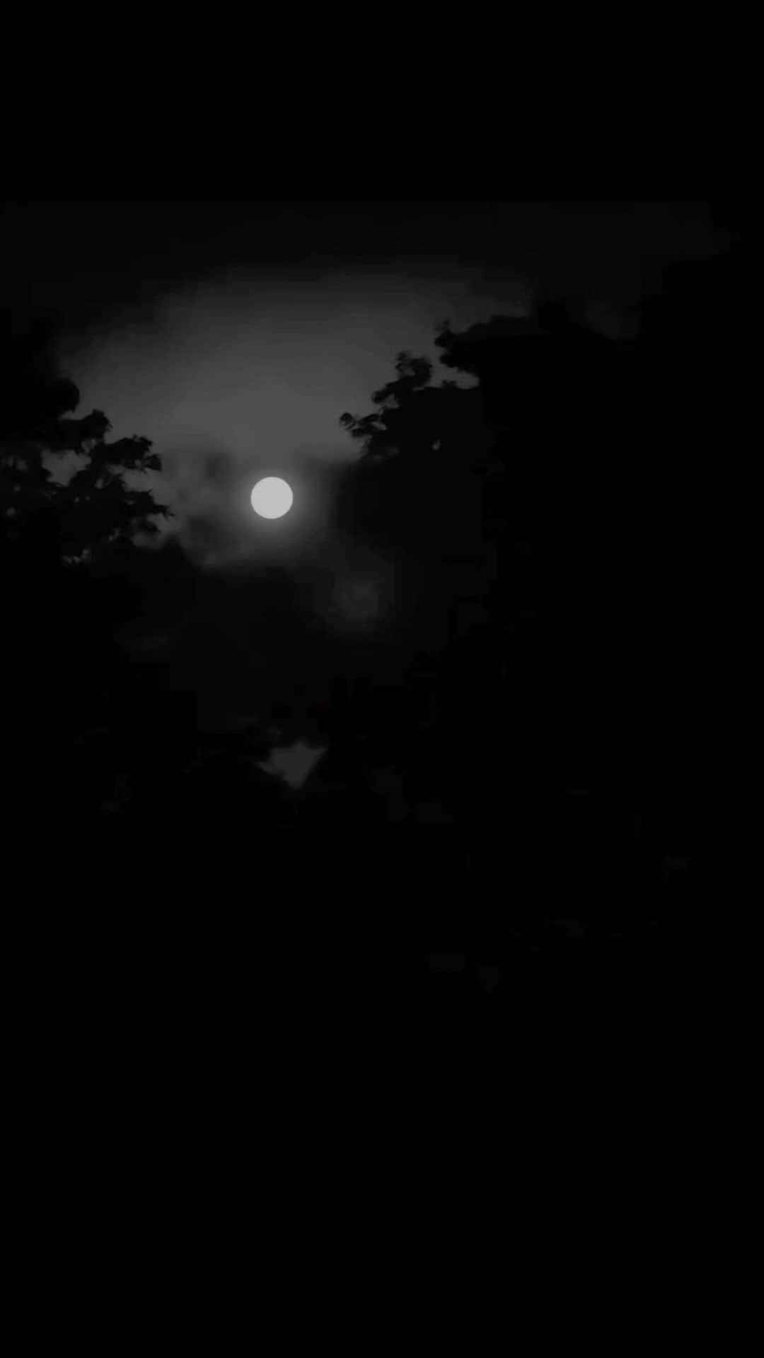 ジョン・スタンメイヤーのインスタグラム：「This morning with our moon.  #BlueMoon #FullMoon #GreatBarrington #massachusetts #FourteenBlackPaintings」