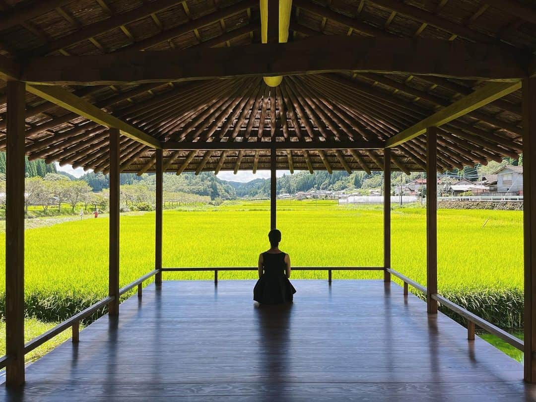 大田由香梨さんのインスタグラム写真 - (大田由香梨Instagram)「そうです。 ここは天国です🌾🕊(笑)  熊本県小国町で、三世代に渡り林業を営む穴井さん　@shunsuke_anai  @anaiwood  が、今年作り上げた美しい建物  @kissa_takenokuma   1年前にここに訪れた時に、完成したら必ず参りますと約束をしており、ちょうど一年後。この場所へ戻ってくることができました。  長い時間をかけて。 愛されることを約束されたこの空間。  建物でありながら、風土と文化と景観、技術、在り方さえも守りたいと思わせてくれる、力強さと奥ゆかしさは、本当に圧巻でございます。  私たちがこの世界から消えたとしても、続く物語。  なんて美しいのでしょう🕊  日本を旅をしていると森の奥深くまで綺麗に植えられた「杉」の多さにびっくりします。  最近では、間伐材や花粉という言葉で、杉の木が登場することが多いですが、  先人の方々が「豊かな未来」を信じて、努力を重ねて植た杉の木が作り出す景色。  信じきれなかったのは何故なのでしょうか？  穴井さんは先人の願いをしっかりと受け取り。豊かな世界を作り出しています。  お祖父様が植えた杉の木を倒し。そして未来のためにまた植える。  木材の乾燥は地熱で行い、 美しい建物はもちろんのこと、屋根の裏には杉の皮。枝は精油となり、粕は農地の肥料に。  小国の杉は、愛されており。  愛すれば全てが輝き宝となる🤲🏻  とても豊かな時間でした🕊  穴井さん、改めておめでとうございます。また、ゆっくりと🍵  @daichi_1127  @yamaguchi_senna  @koheimatsuda1980」8月31日 19時11分 - otayukari