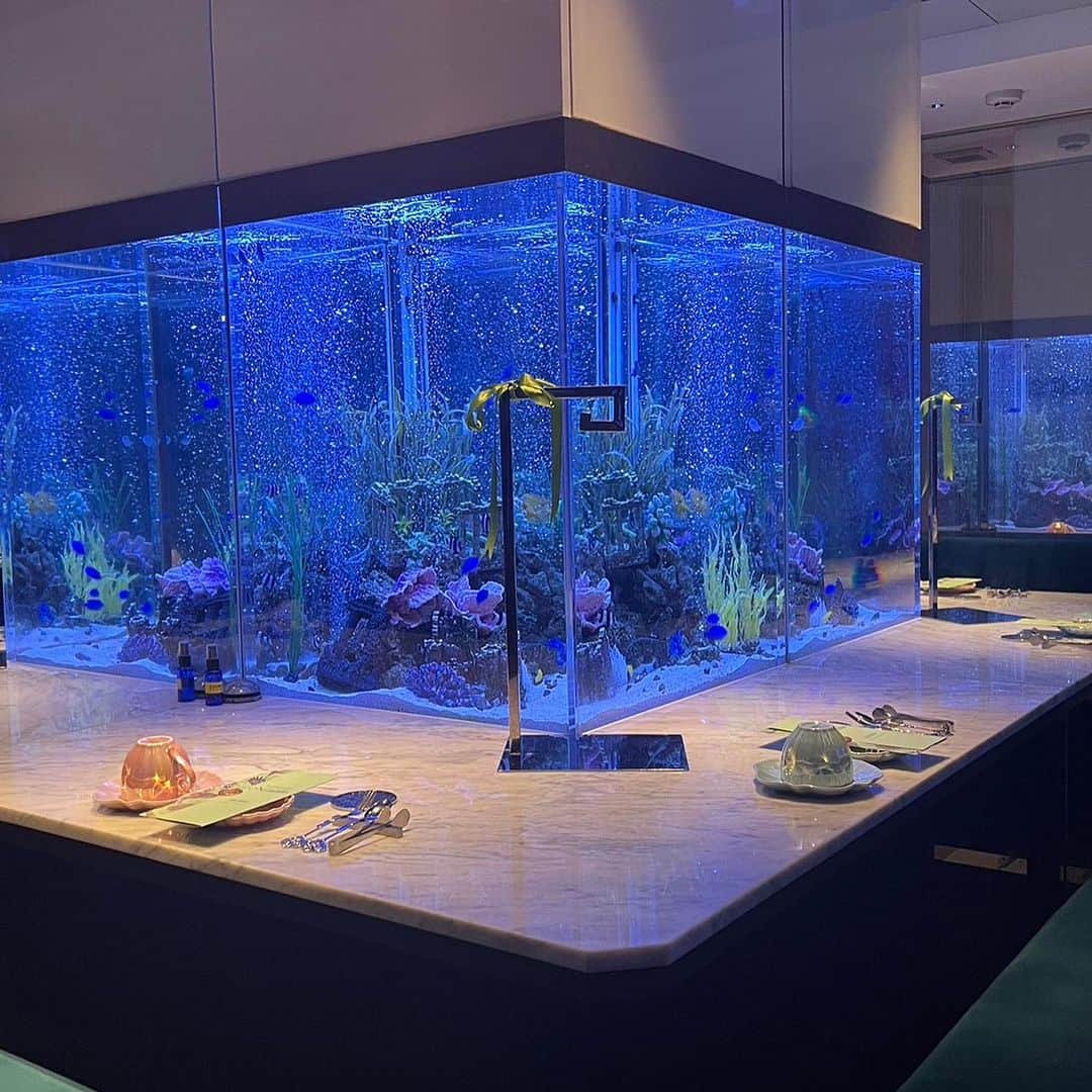 佐保里さんのインスタグラム写真 - (佐保里Instagram)「人生初のアフタヌーンティーしてきた🧁🤭  お部屋が水族館のような空間で小さいお魚たちを見ながら癒されてました🐟♡  8月はメロン期間🍈だったみたいですが、9月からはシャインマスカットのメニューになるみたい👀  アフタヌーンティーは空間が可愛いのはもちろん、フード、スイーツも美味しくて大好きになりました🤤💗  また行く〜😚🧁♡  PR @aquarium_nautilus_ #アクアリウムレストランnautilus #アクアリウムレストラン #アフタヌーンティーセット #東京アフタヌーンティー #上野グルメ」8月31日 19時30分 - kawausosuki0513
