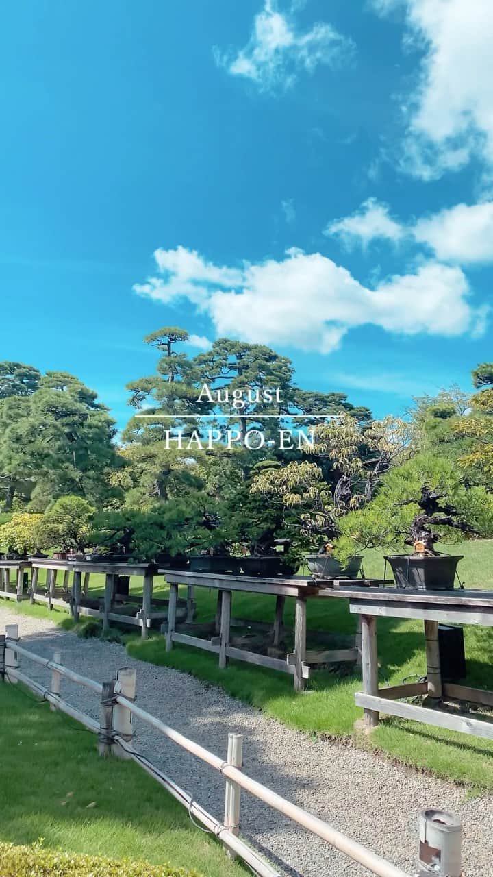 八芳園のインスタグラム：「澄んだ青空が広がる、八月の終わりの日本庭園。 吹き抜ける風の涼やかさに、季節の移ろいが感じられます。  ☁️🍃✨  #八芳園 #happoen #結婚式場 #日本庭園 #処暑 #二十四節気 #お散歩   #盆栽 #青空 #そらすたぐらむ #空が好き #bluesky #日本の四季 #今日の空 #イマソラ   #カメラ部 #写真好きな人と繋がりたい #東京カメラ部 #その瞬間に物語を #風景写真  #japanesegarden #japan_of_insta #jp_views #special_spot #tokyo #japan_daytime_view #ig_jp #japanoinsta #japantravel #tokyotrip」