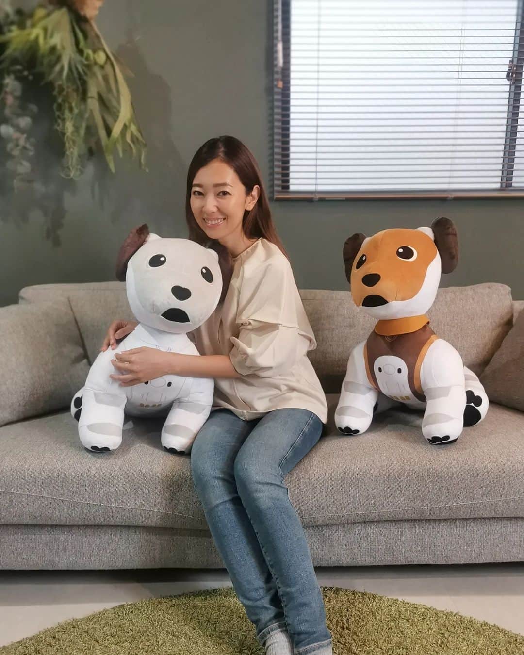 杉山由紀子のインスタグラム：「モデル情報解禁♪  タイトーくじさんでaiboと コラボさせていただきました😄  aiboのお目目がかわいくて✨✨ しらたま飼っているのもあってか、 接し方がaiboが生きてるみたいと お褒めいただきました😌💓  さわり心地もふかふかで可愛かったなー✨  オンライン限定で期間も限定なので ぜひチェックしてみてね✨  #モデル #情報解禁 #撮影 #shooting #タイトー」