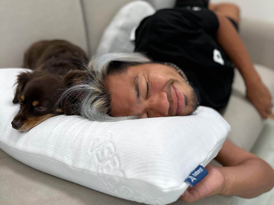 田中パウロ淳一のインスタグラム：「これおすすめです。 自分でちゃんと使ってみて最高でした。 頭、首、フィットしてくれて、背中に負担もかからず、自分の姿勢にぴったり！ あと、ソファーで昼寝する時に、この枕を持ってきたら、愛犬まで気持ちよく寝てしまったww #tobest #アンセムピロー #枕 #睡眠改善」