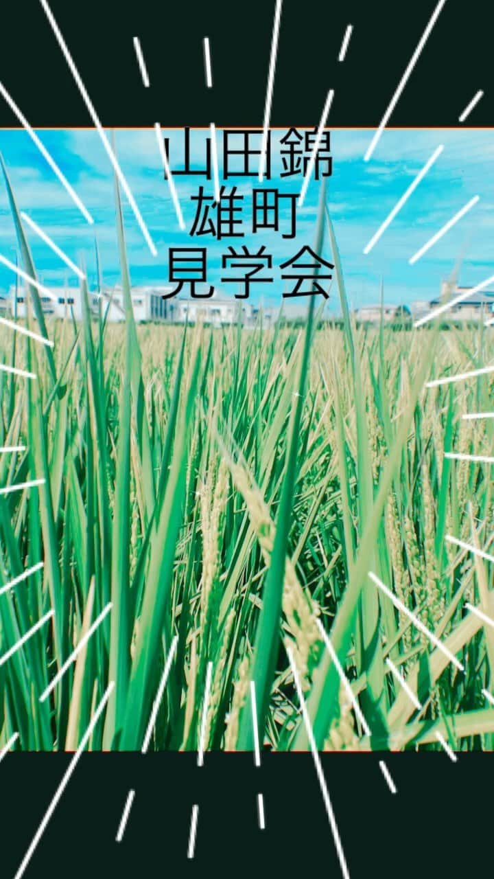 宮田麺児のインスタグラム：「生命の息吹を感じた日」