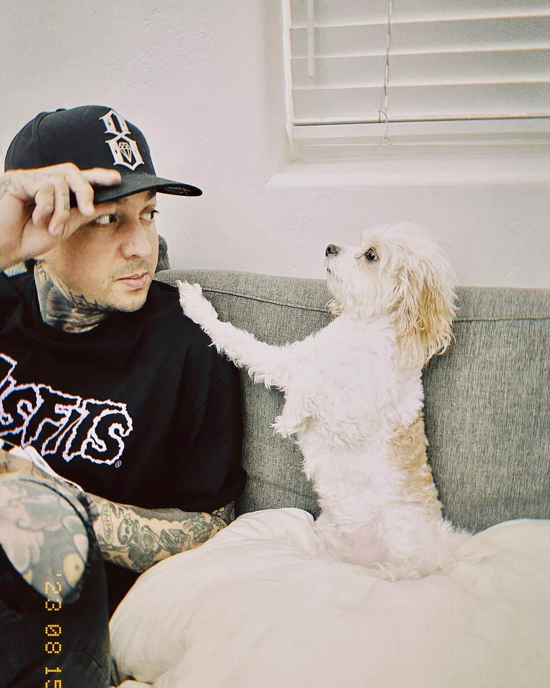 トニー・ペリーさんのインスタグラム写真 - (トニー・ペリーInstagram)「🐢🐶」9月1日 5時17分 - tonyperry