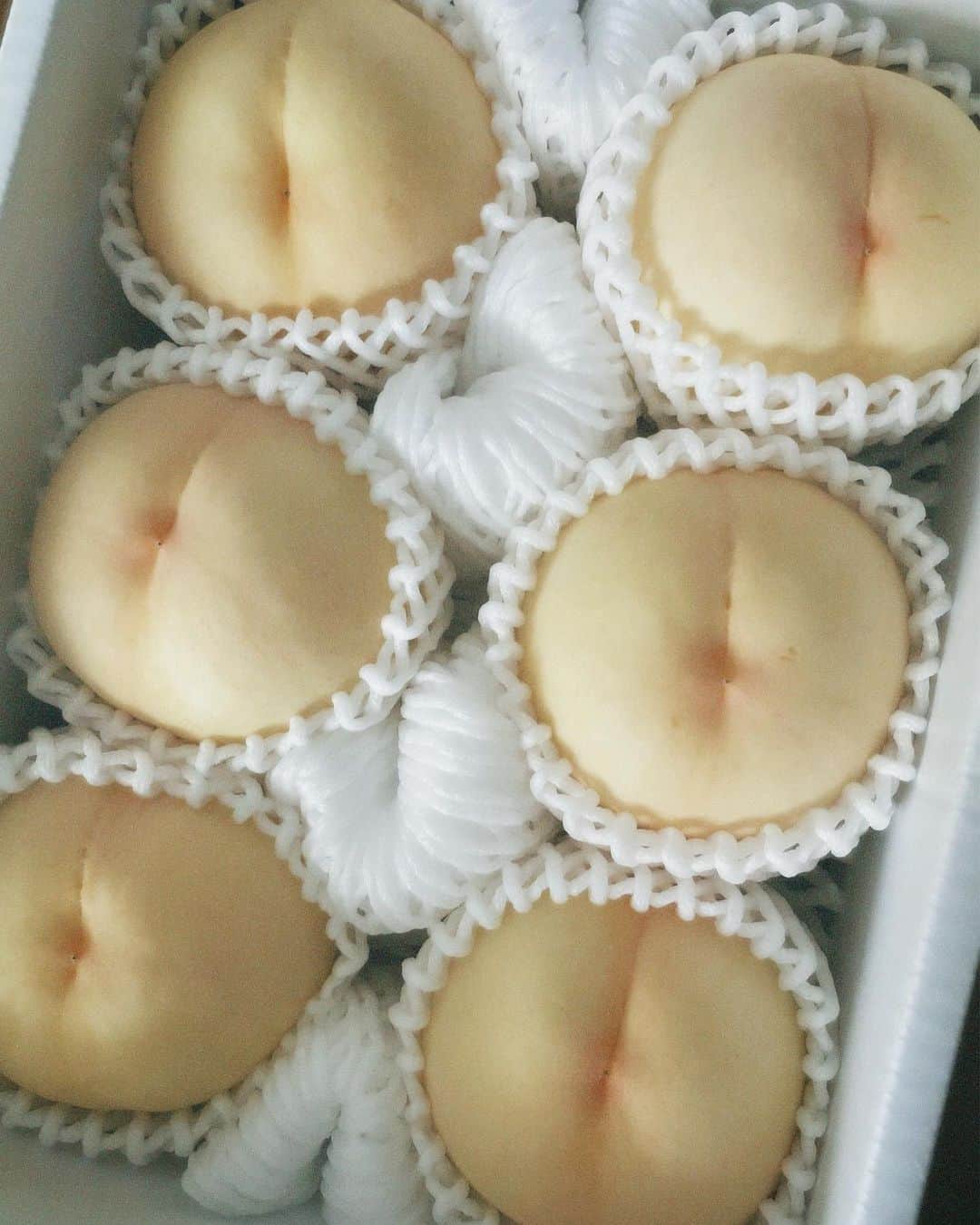 のインスタグラム