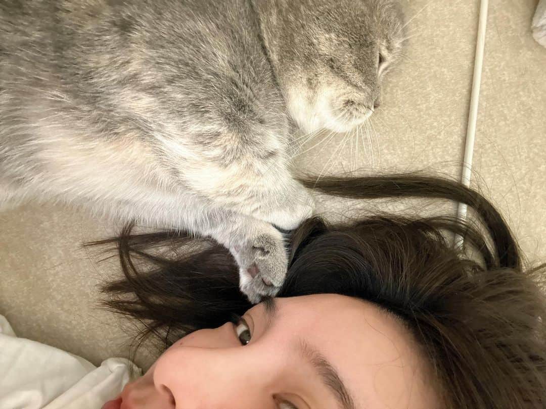 峮峮のインスタグラム：「🐾🐰」