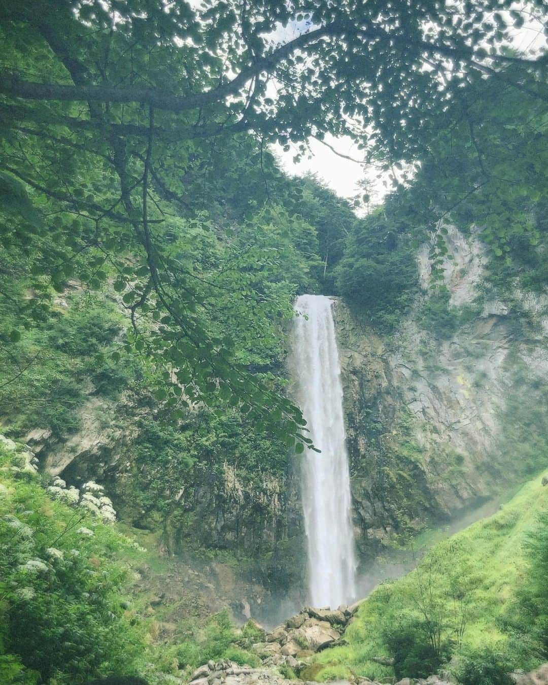 小林ようさんのインスタグラム写真 - (小林ようInstagram)「夏の飛騨高山。  #飛騨高山 #高山 #古い町並み #岐阜 #一人旅 #takayama #oldtown #gifu #japan #film #trip」8月31日 22時03分 - yoco12